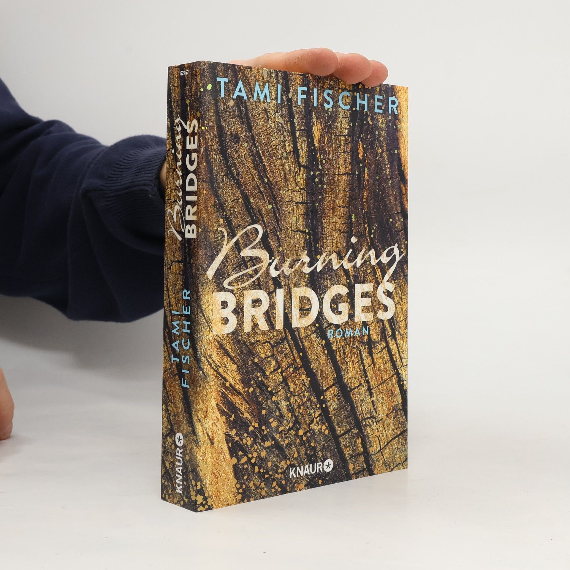 Tami Fischer Burning bridges