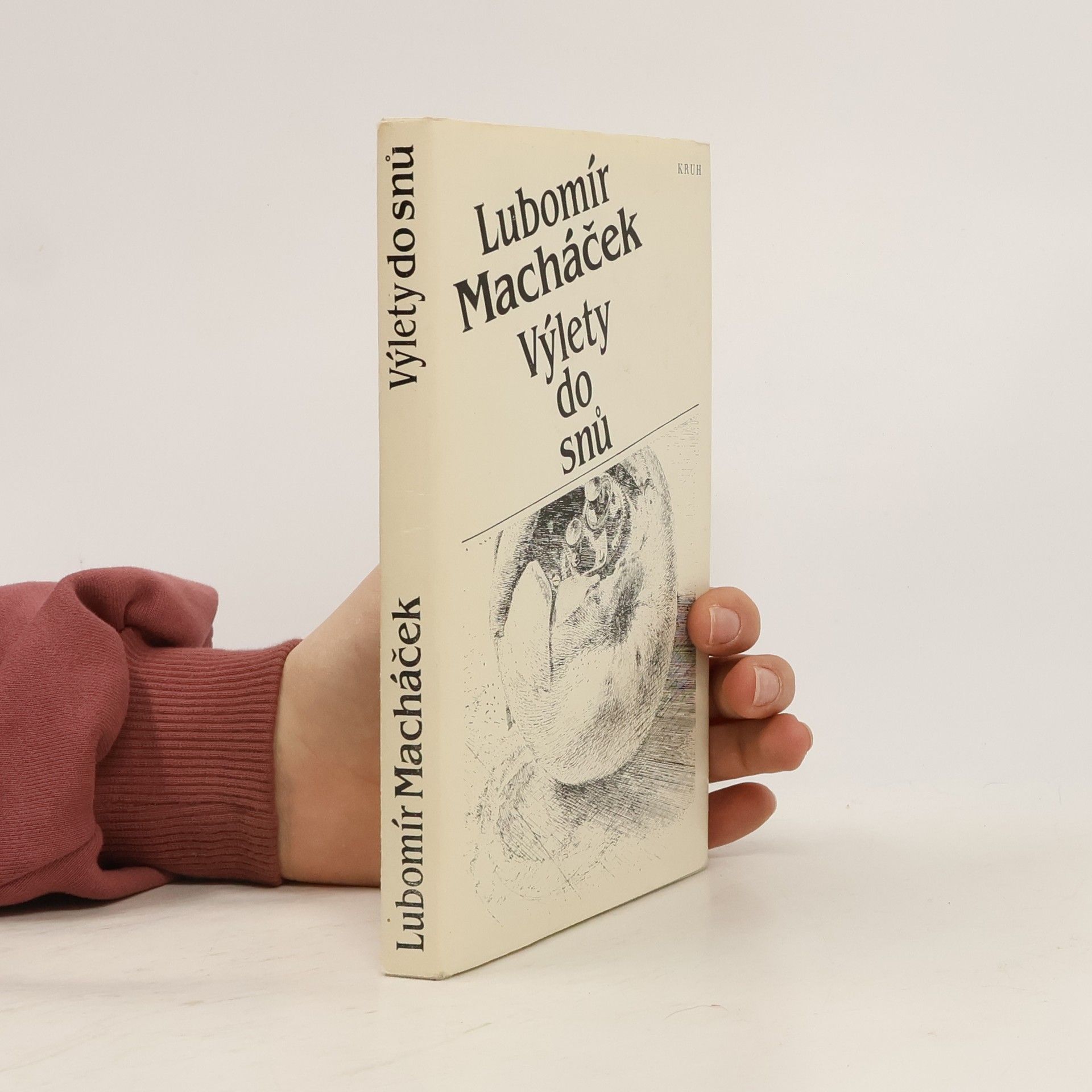 Lubomír Macháček Výlety do snů