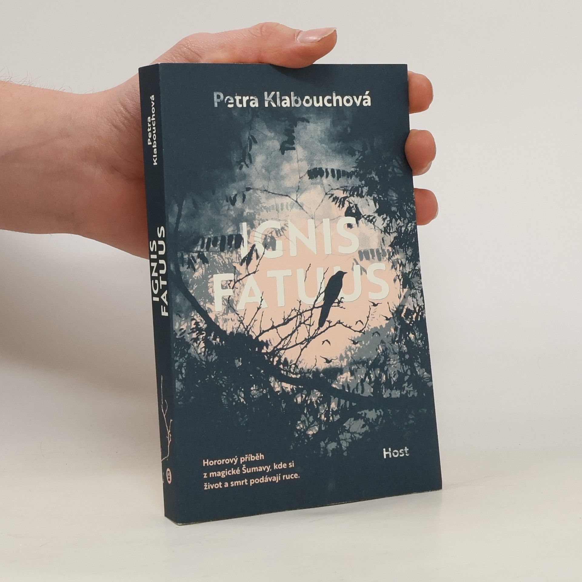 Petra Klabouchová Ignis fatuus