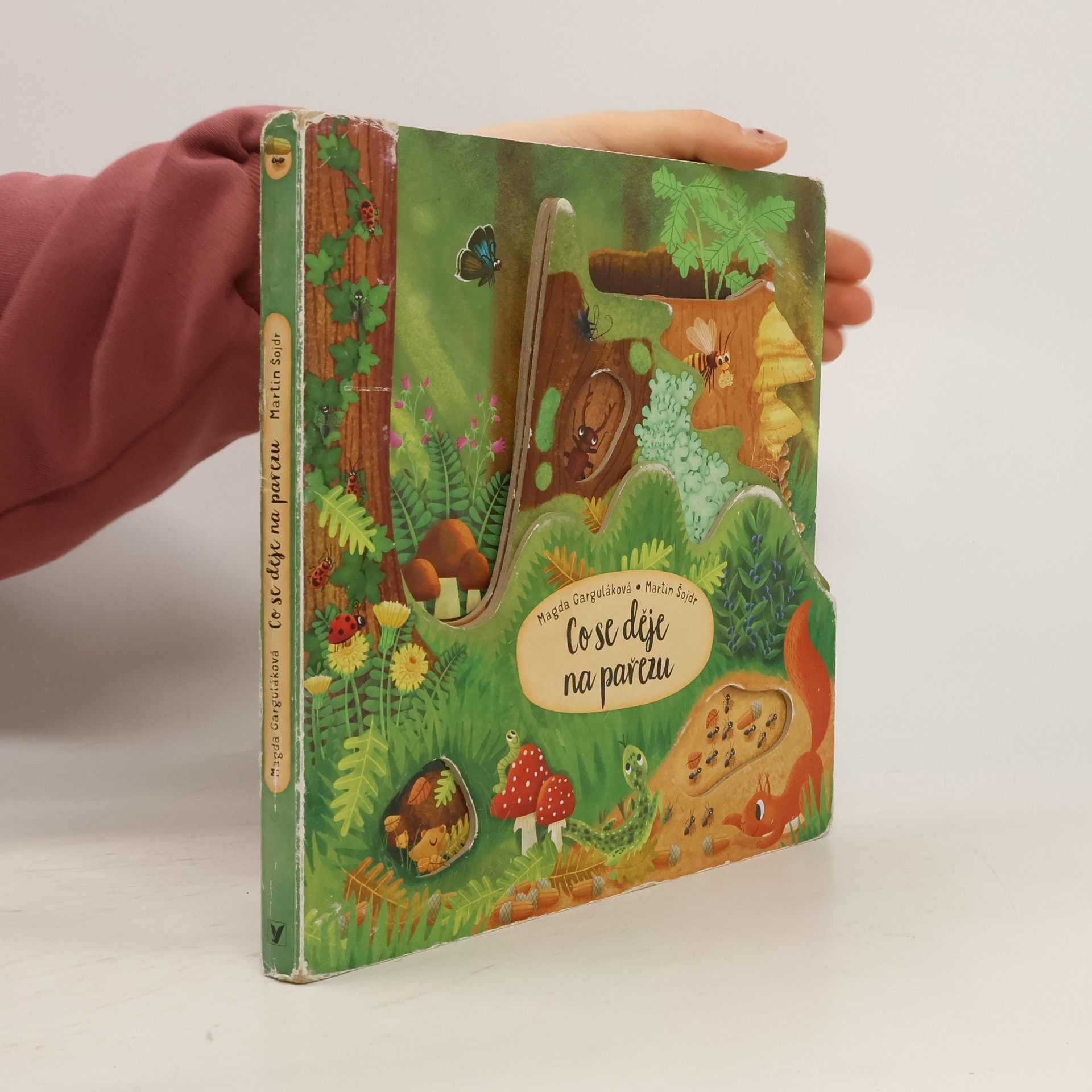 Magda Navrátilová Garguláková Co se děje na pařezu