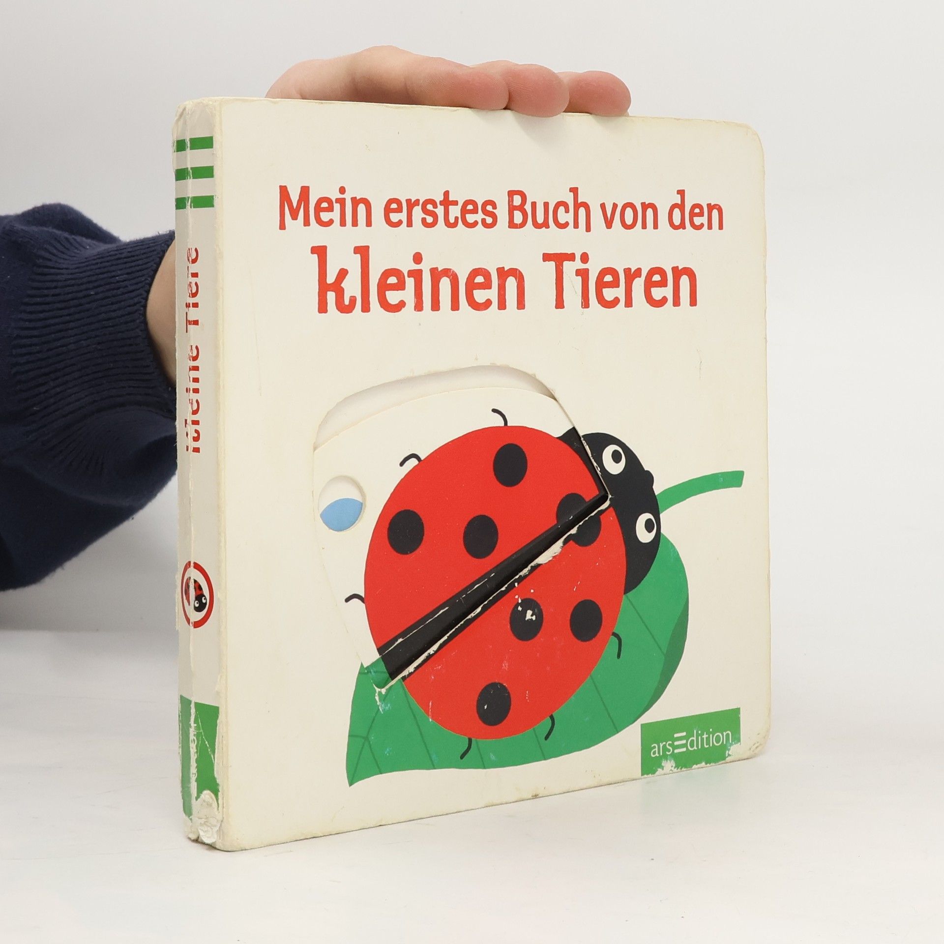 Autorenkollektiv Mein erstes Buch von den kleinen Tieren