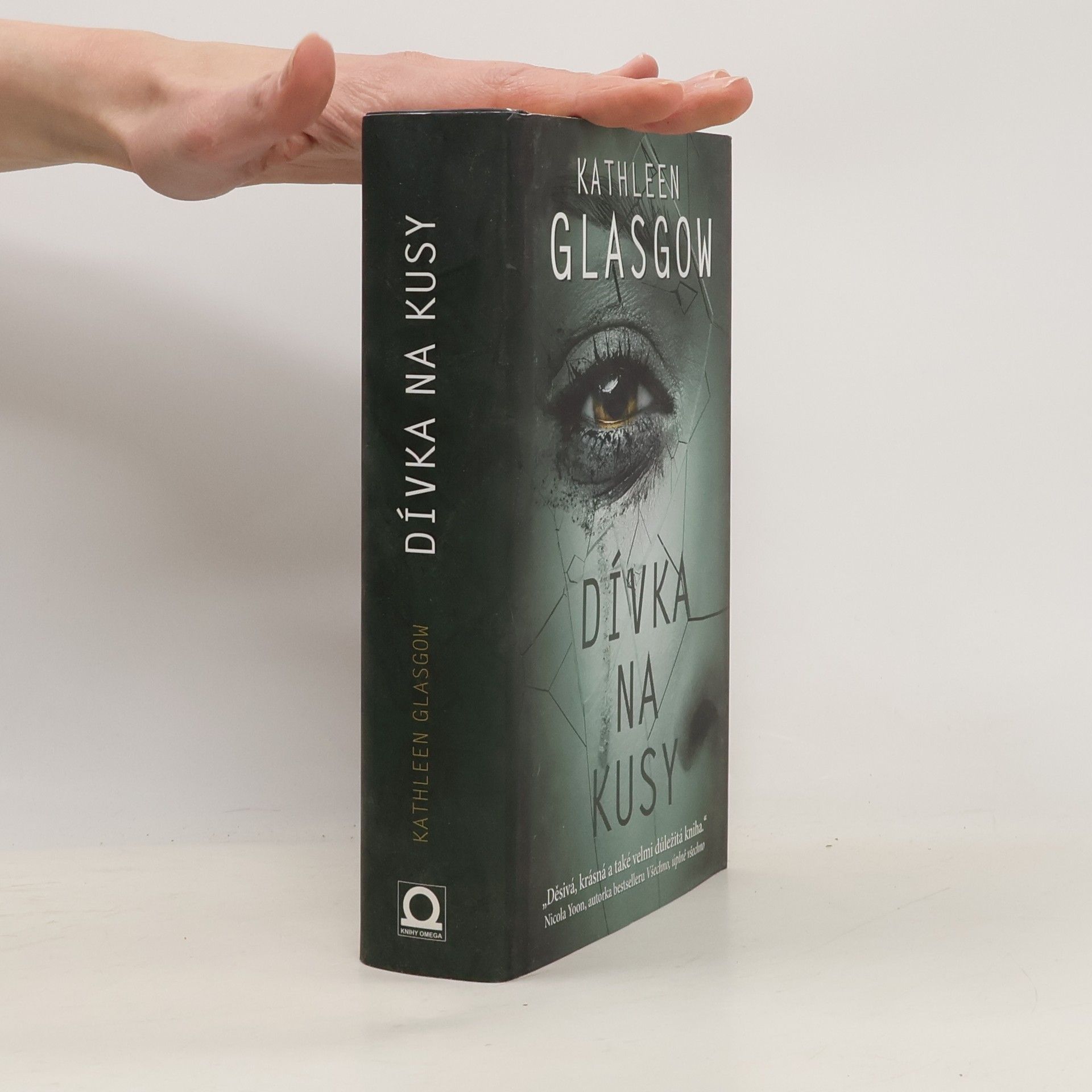 Kathleen Glasgow Dívka na kusy