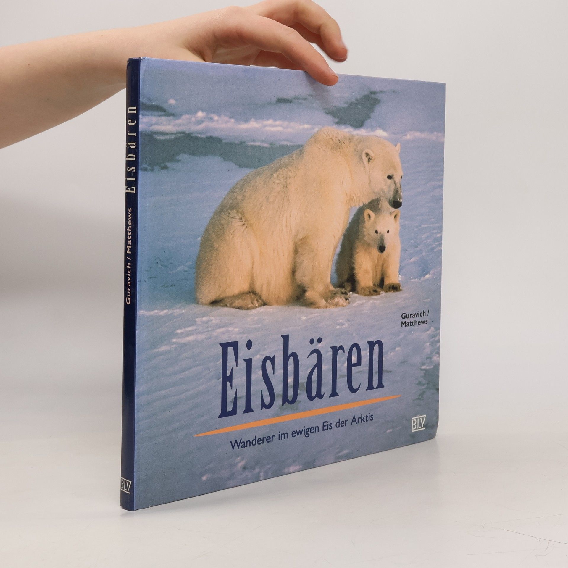 Dan Guravich Eisbären