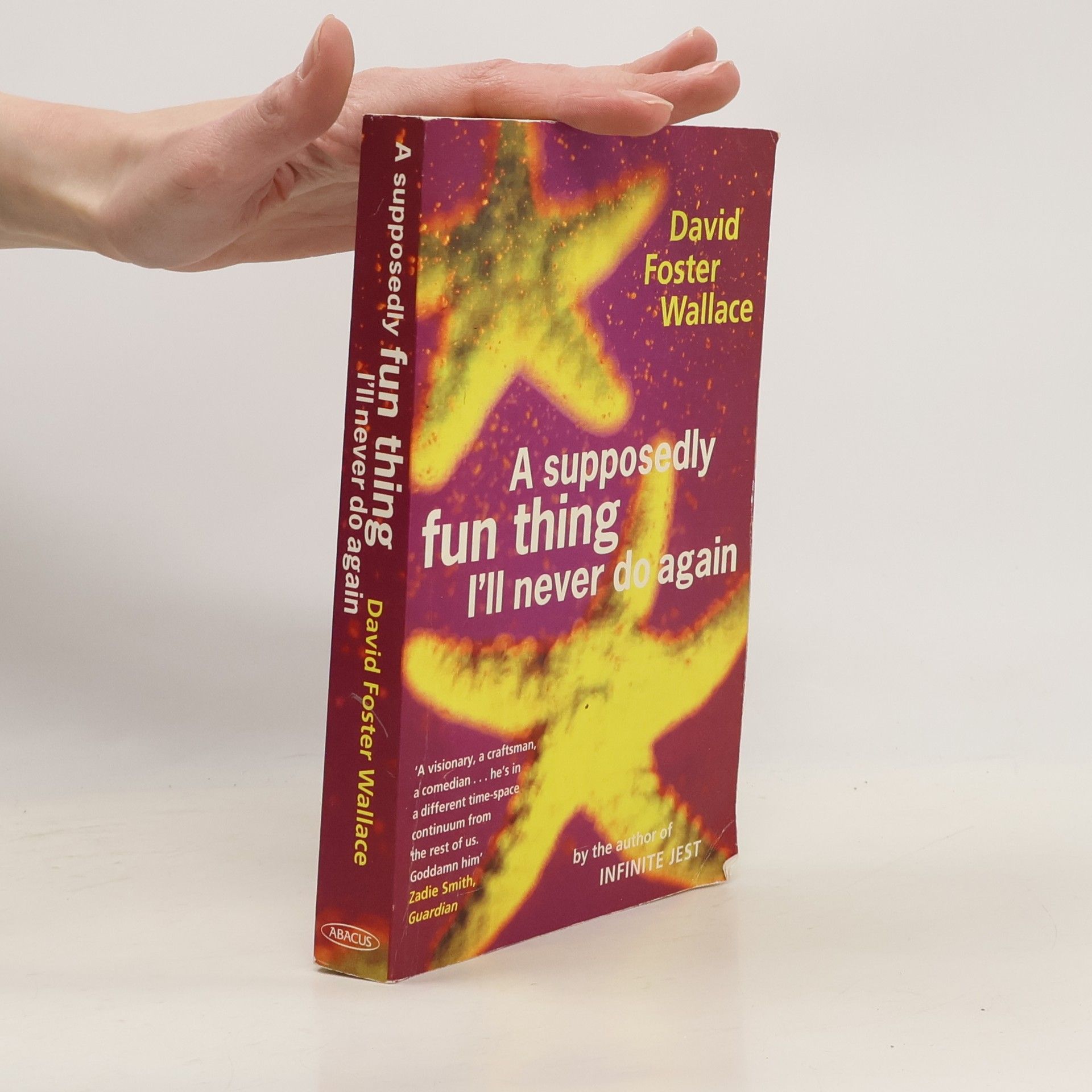 David Foster Wallace Supposedly Fun Thing I'll Never Do Again