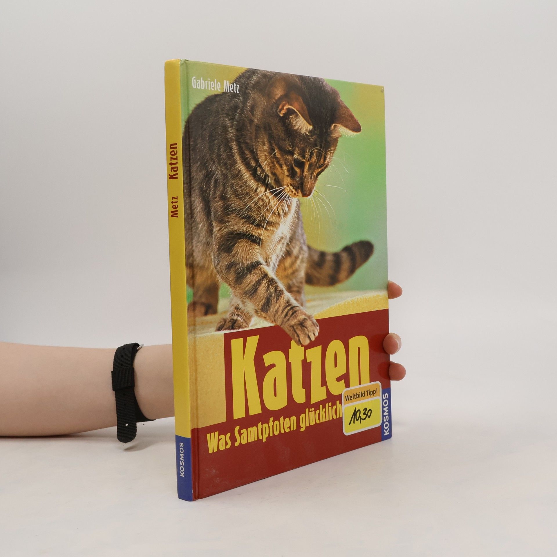 Gabriele Metz Katzen