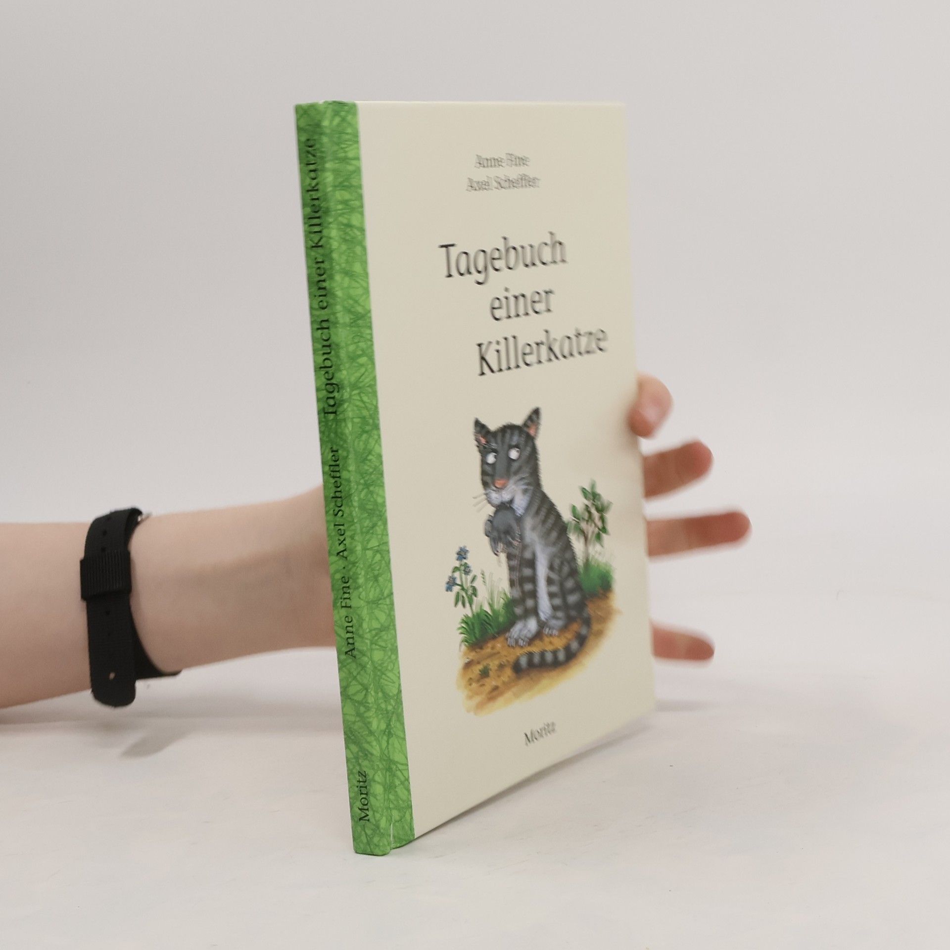 Anne Fine Tagebuch einer Killerkatze