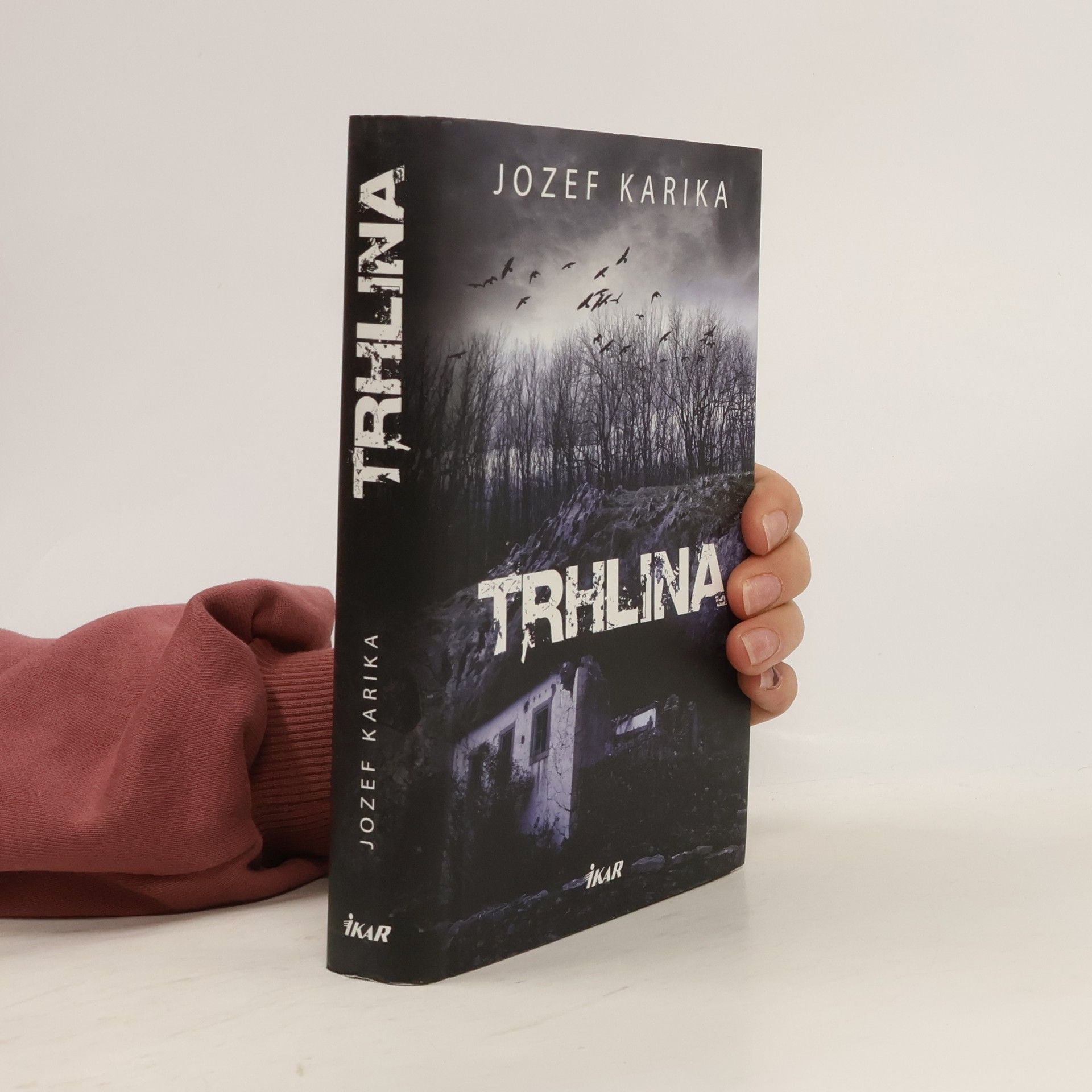 Jozef Karika Trhlina