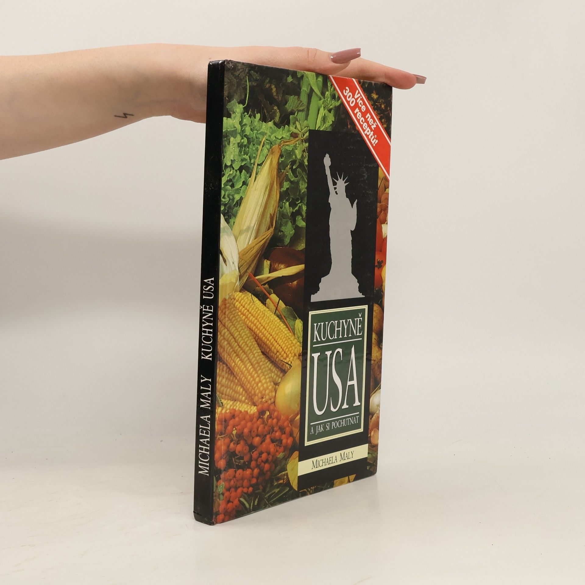 Kuchyně USA a jak si pochutnat