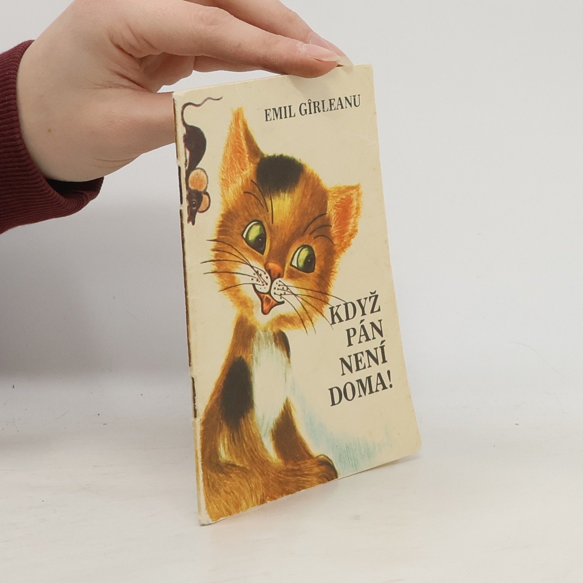 Když pán není doma!