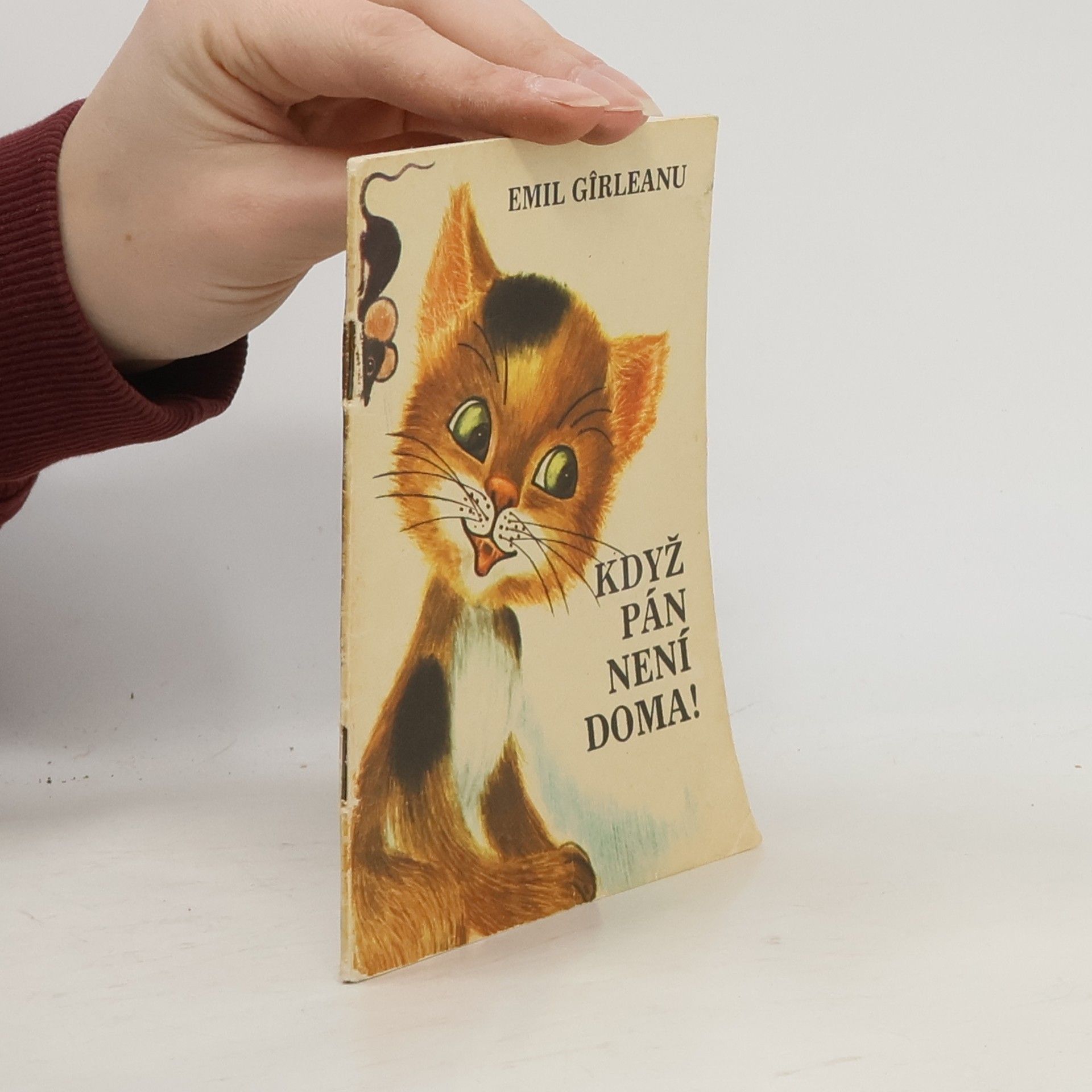 Emil Gîrleanu Když pán není doma!