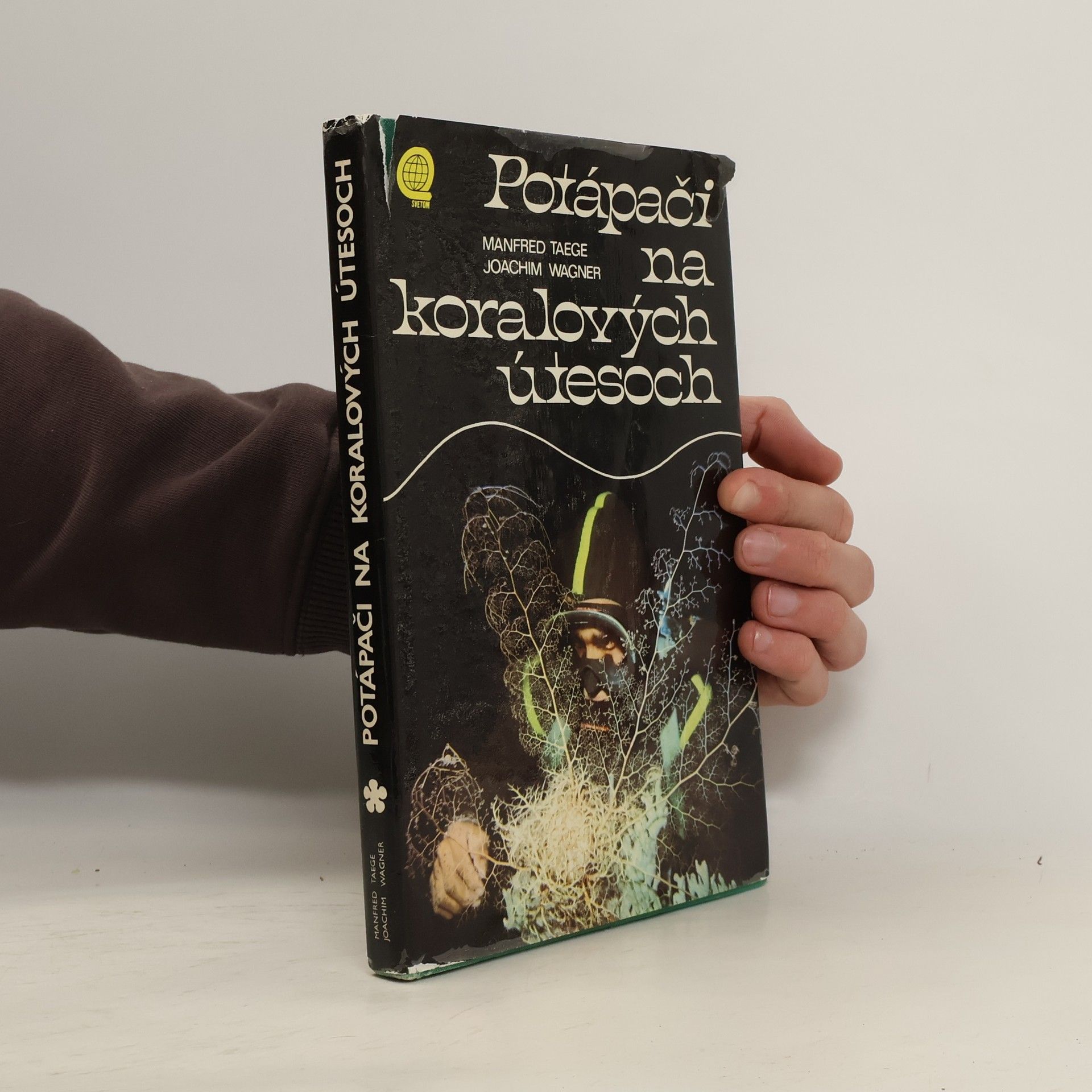 Potápači na koralových útesoch