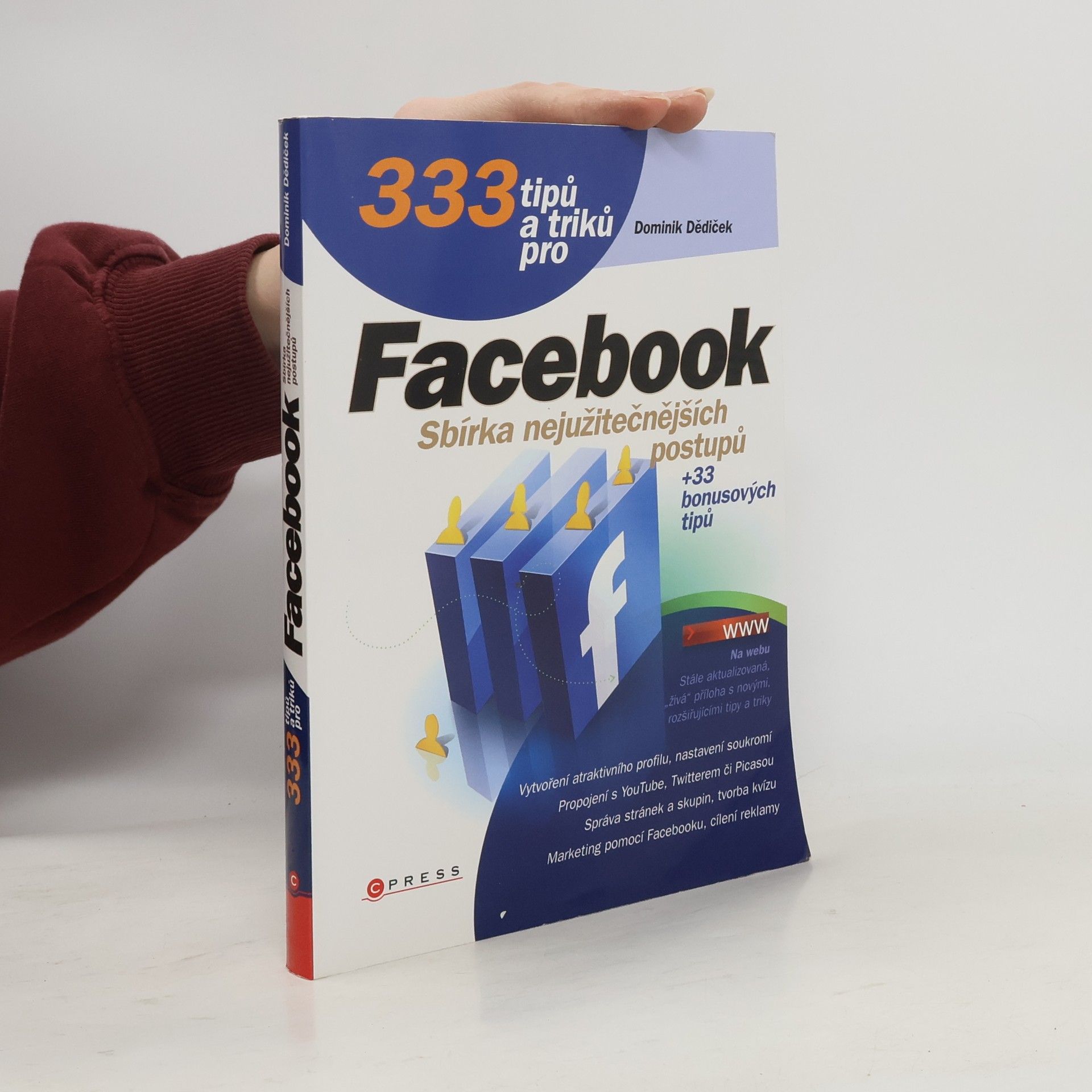 Dominik Dědiček 333 tipů a triků pro Facebook