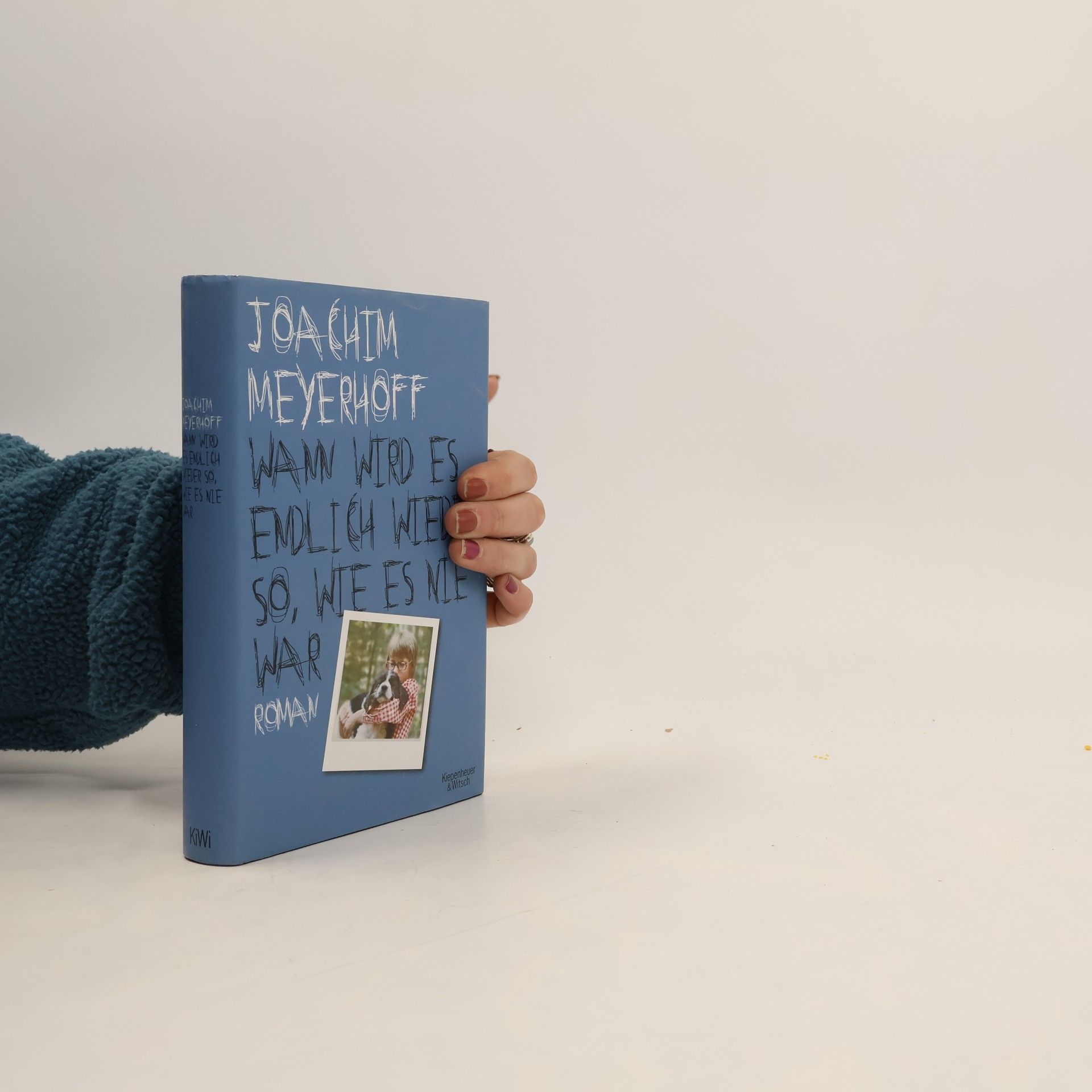 Joachim Meyerhoff Wann wird es endlich wieder so, wie es nie war