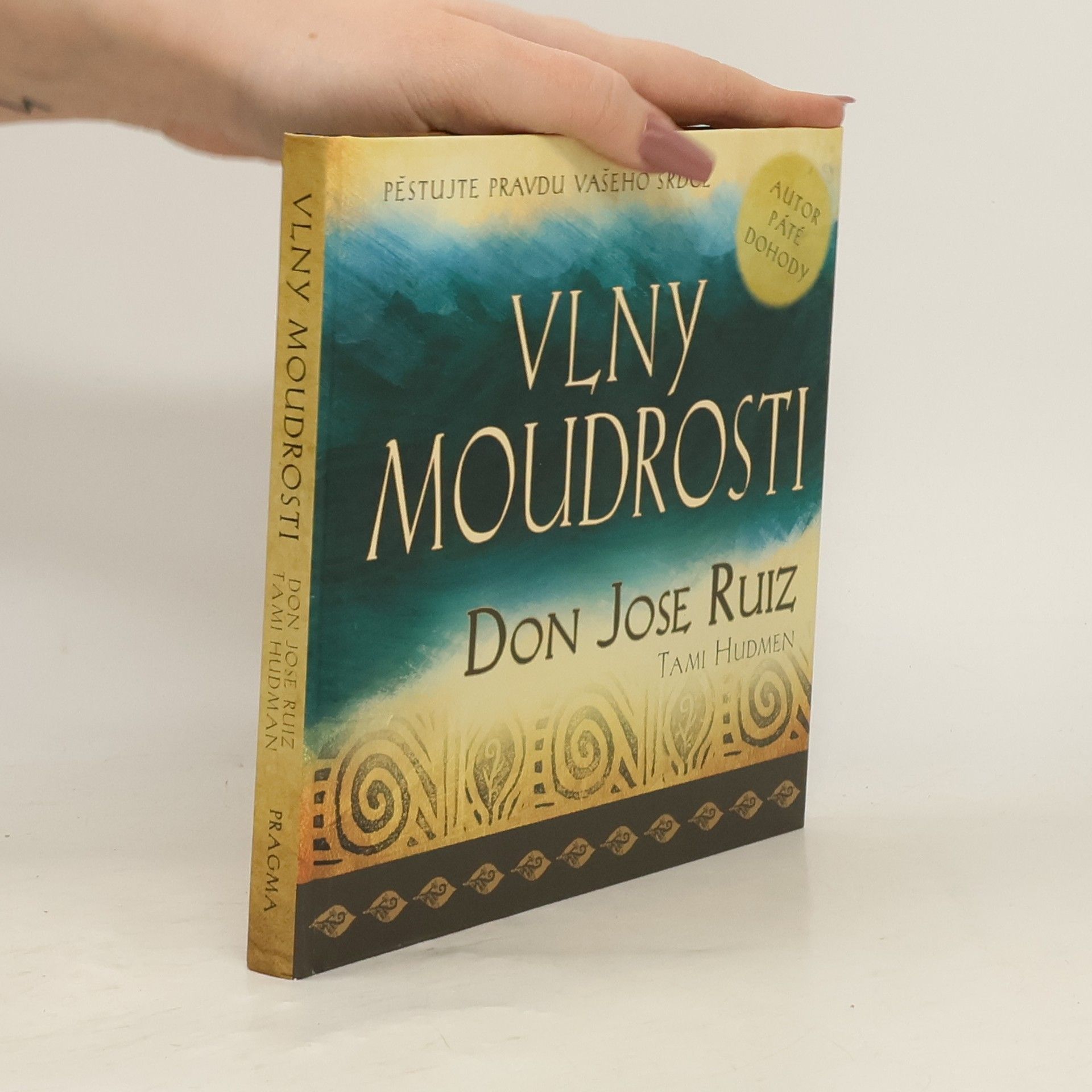 Tami Hudman Vlny moudrosti