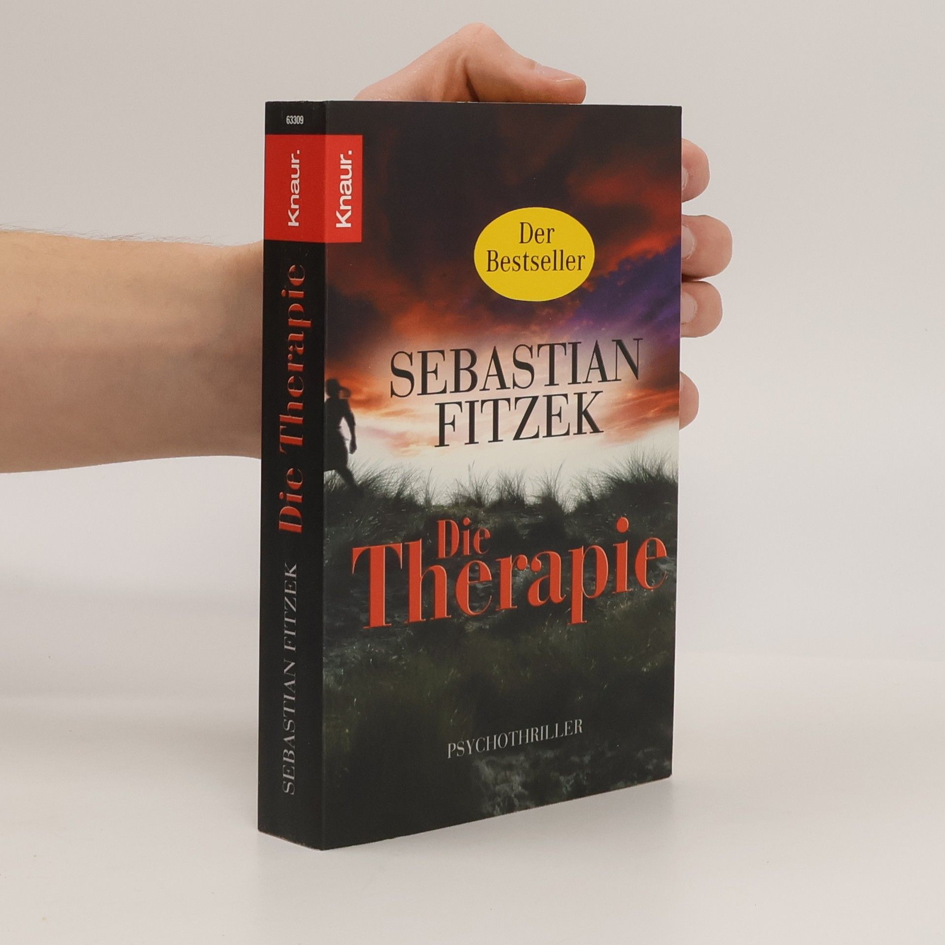 Sebastian Fitzek Die Therapie