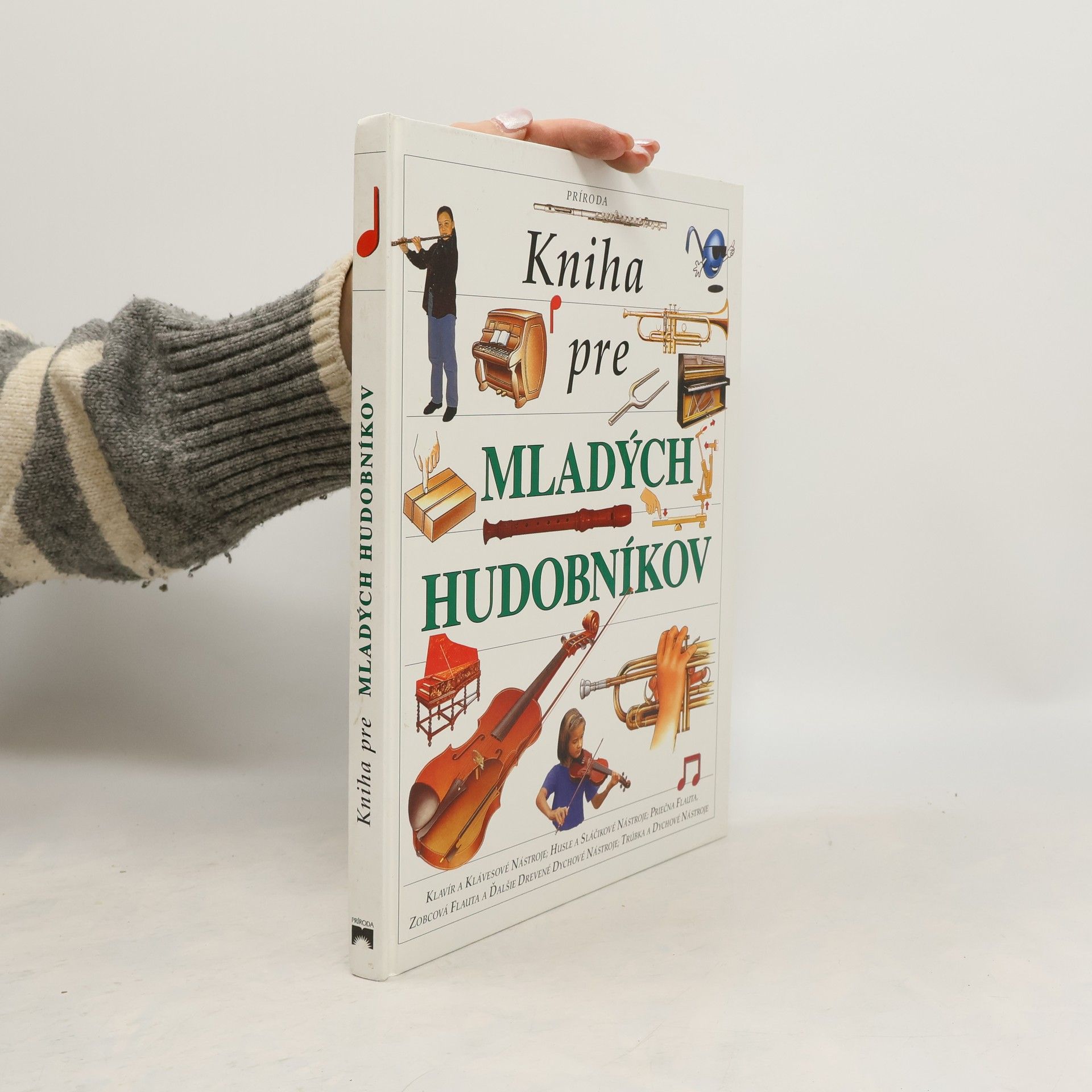 Autorenkollektiv Kniha pre mladých hudobníkov