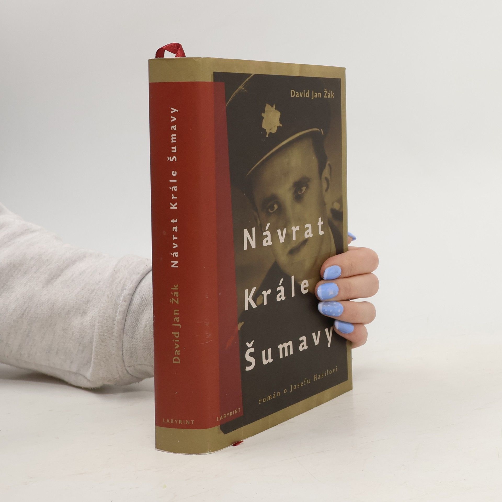 David Jan Žák Návrat Krále Šumavy