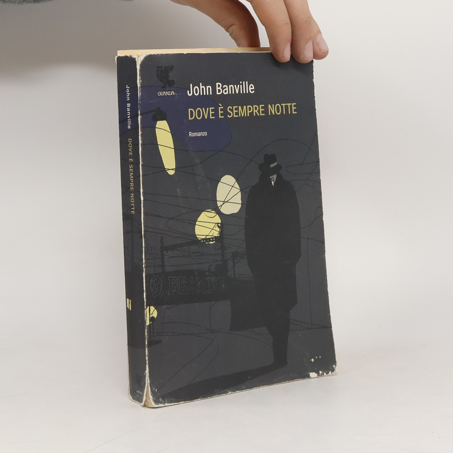 John Banville Dove è sempre notte