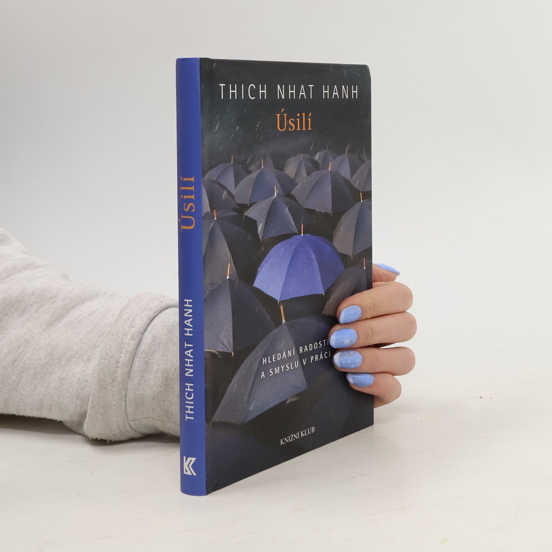 Thich Nhat Hanh Úsilí. Hledání radosti a smyslu v práci