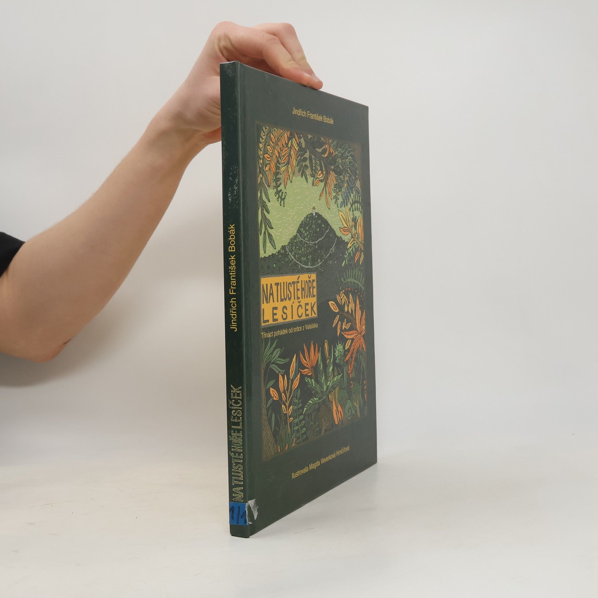 Jindřich František Bobák Na Tlusté hoře lesíček