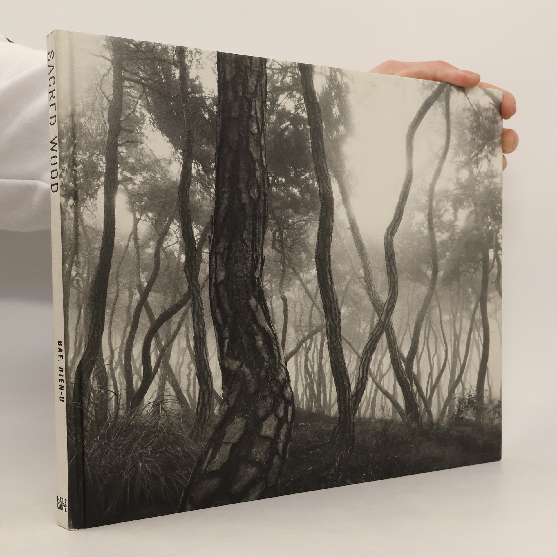 Wonkyung Byun Bae Bien-U: Sacred Wood