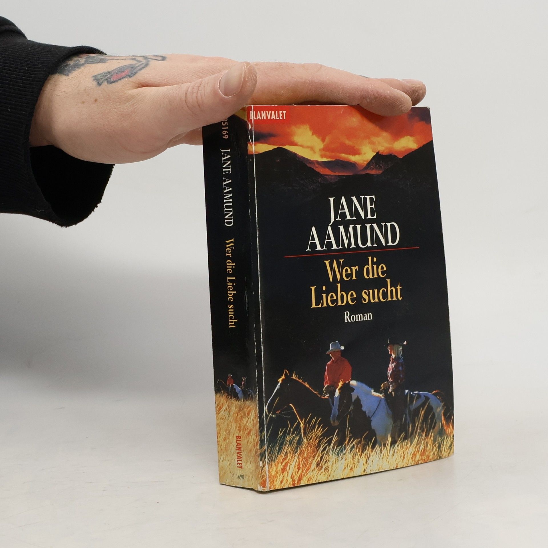 Jane Aamund Wer die Liebe sucht