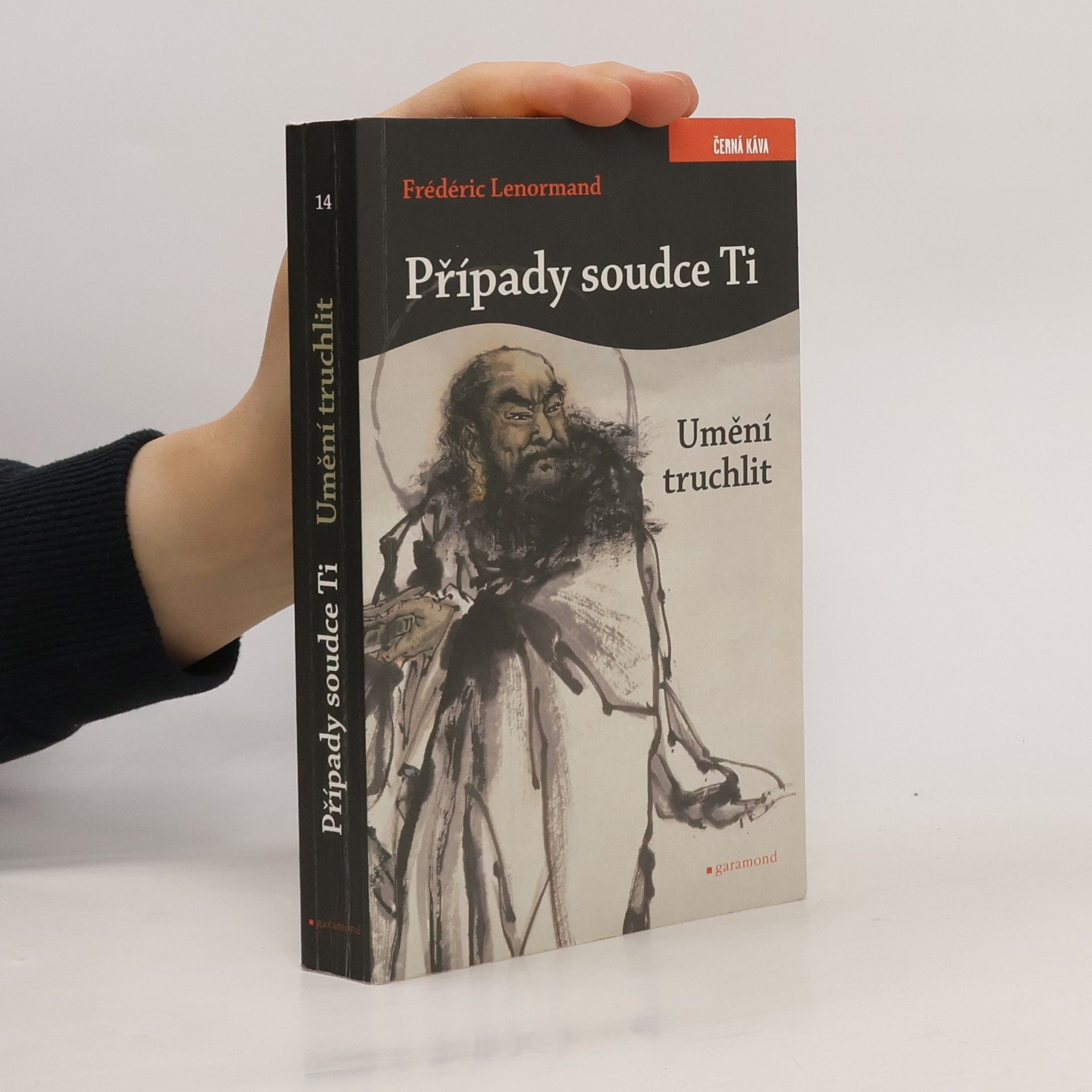 Frédéric Lenormand Případy soudce Ti. Umění truchlit