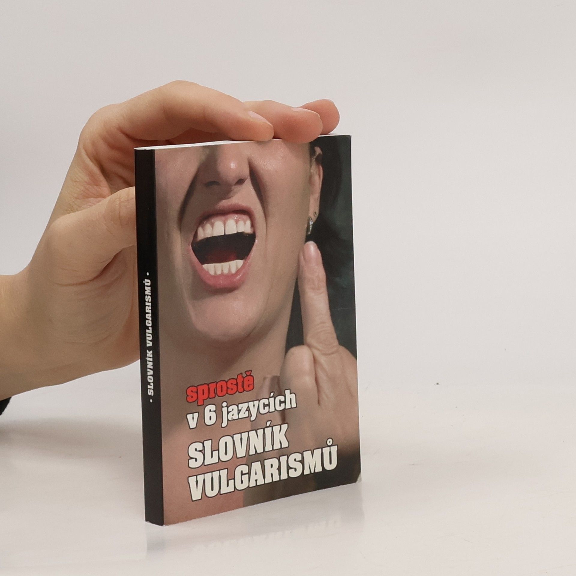 Kryštof Bajger Slovník vulgarismů : sprostě v 6 jazycích