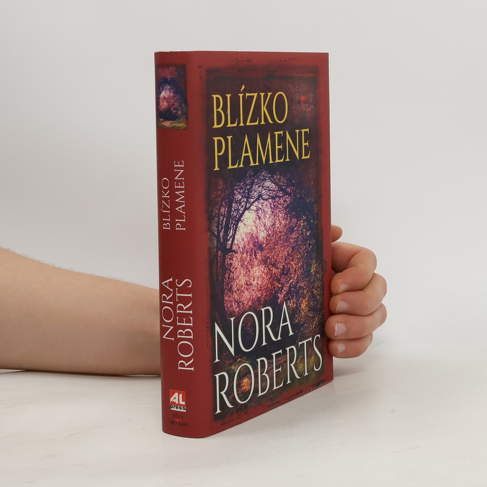 Nora Roberts Blízko plamene