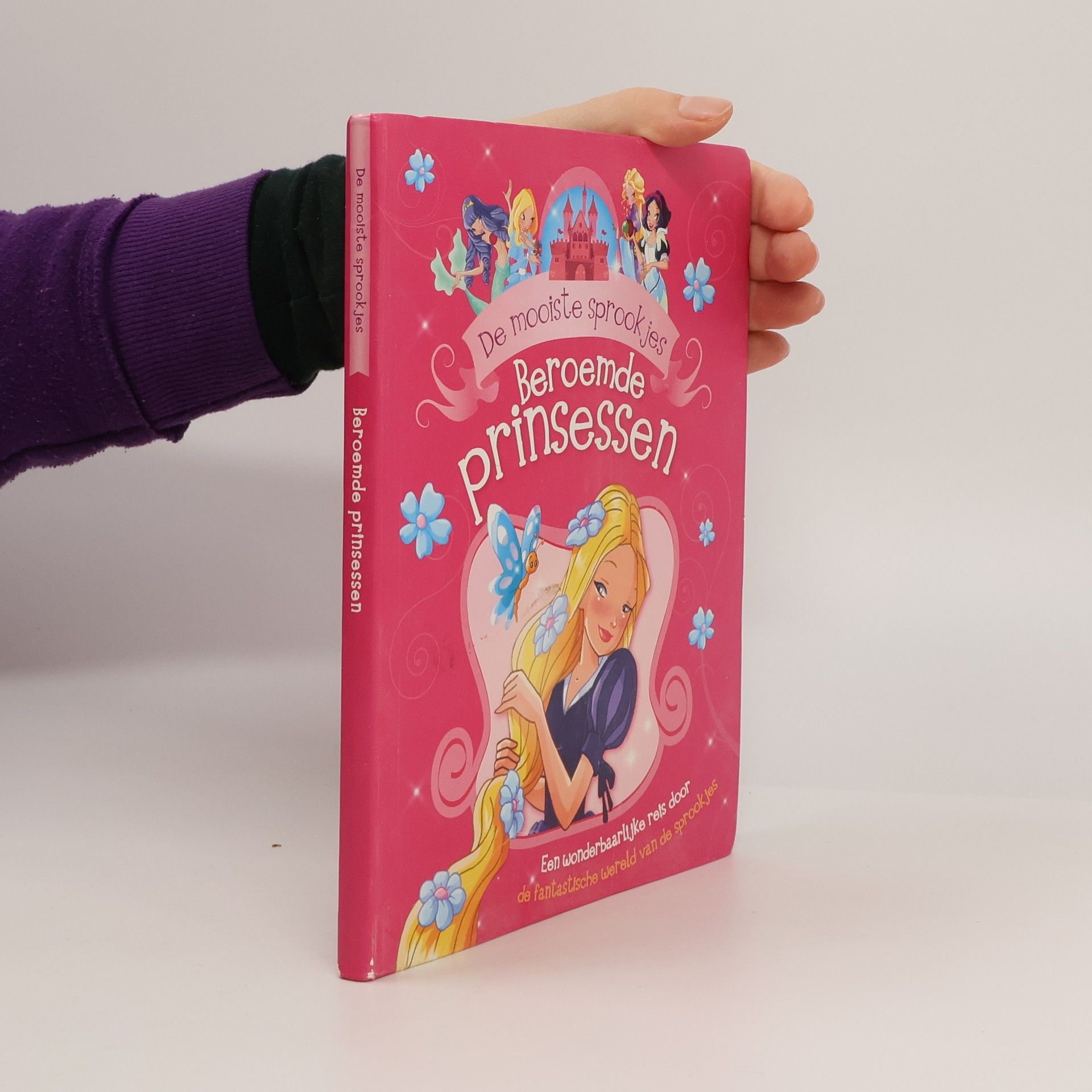 Autorenkollektiv De mooiste sprookjes. Beroemde prinsessen