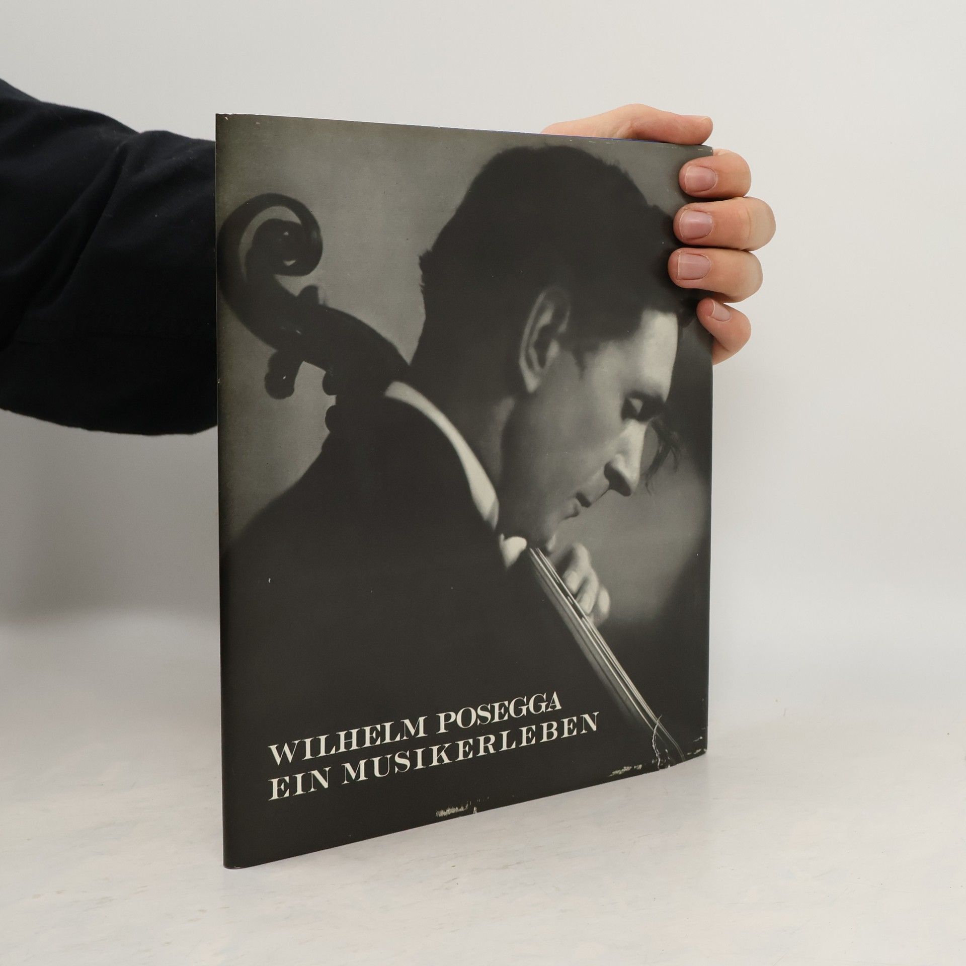 Autorenkollektiv Wilhelm Posegga - Ein Musikerleben