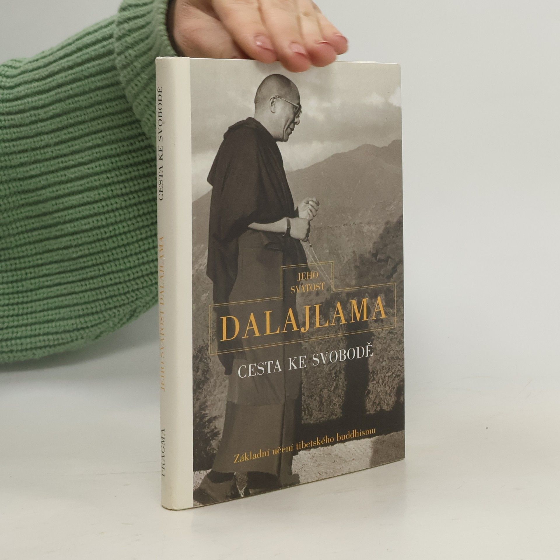 Irena Janovcová Cesta ke svobodě