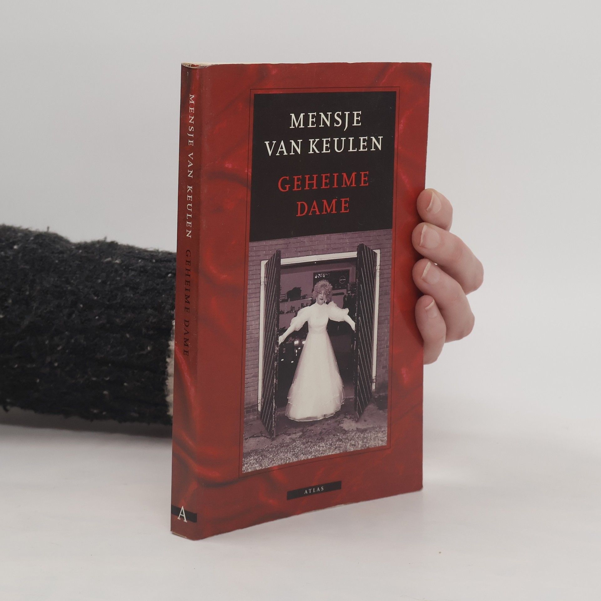 Mensje van Keulen Geheime dame