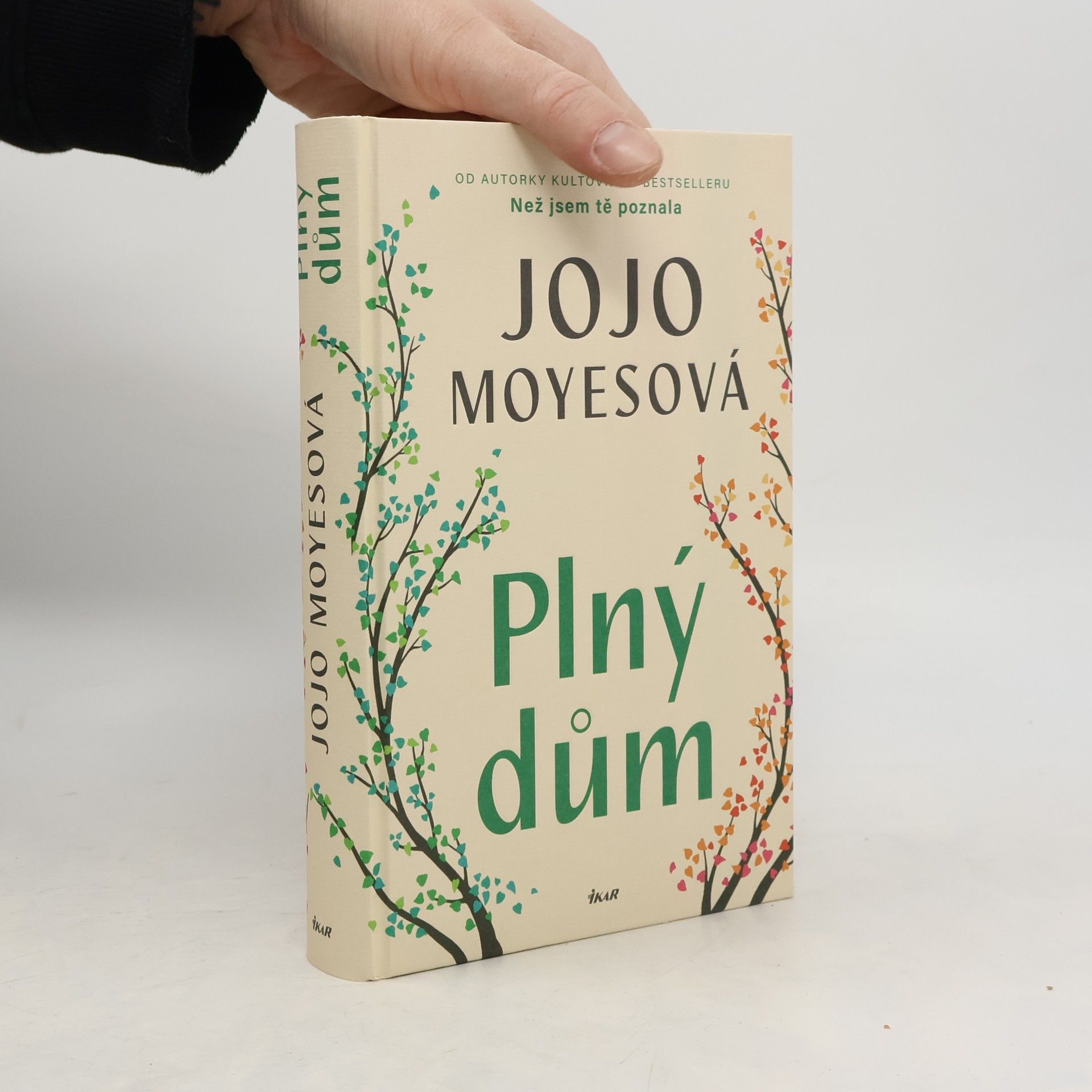 Jojo Moyes Plný dům