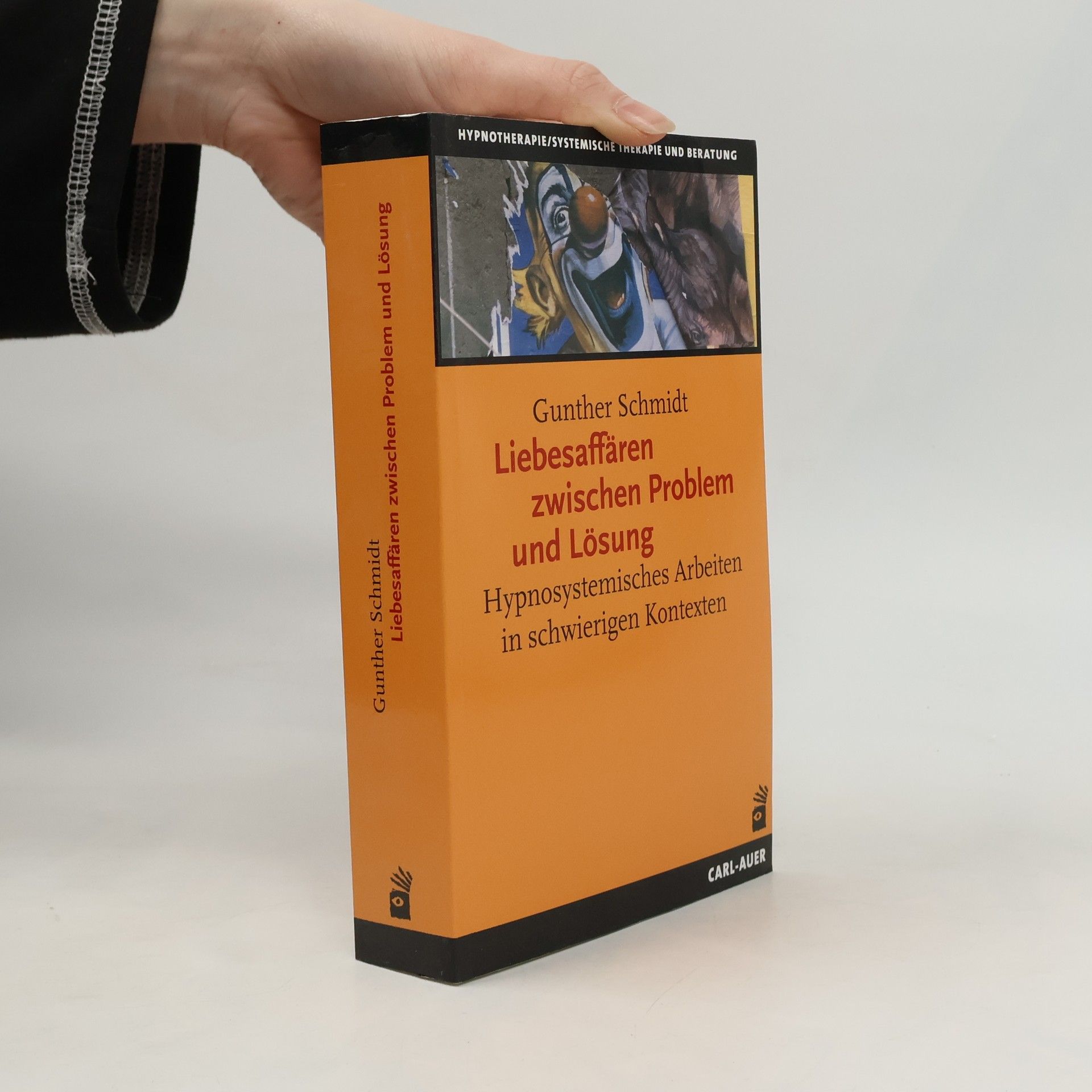Günther Schmidt Liebesaffären zwischen Problem und Lösung