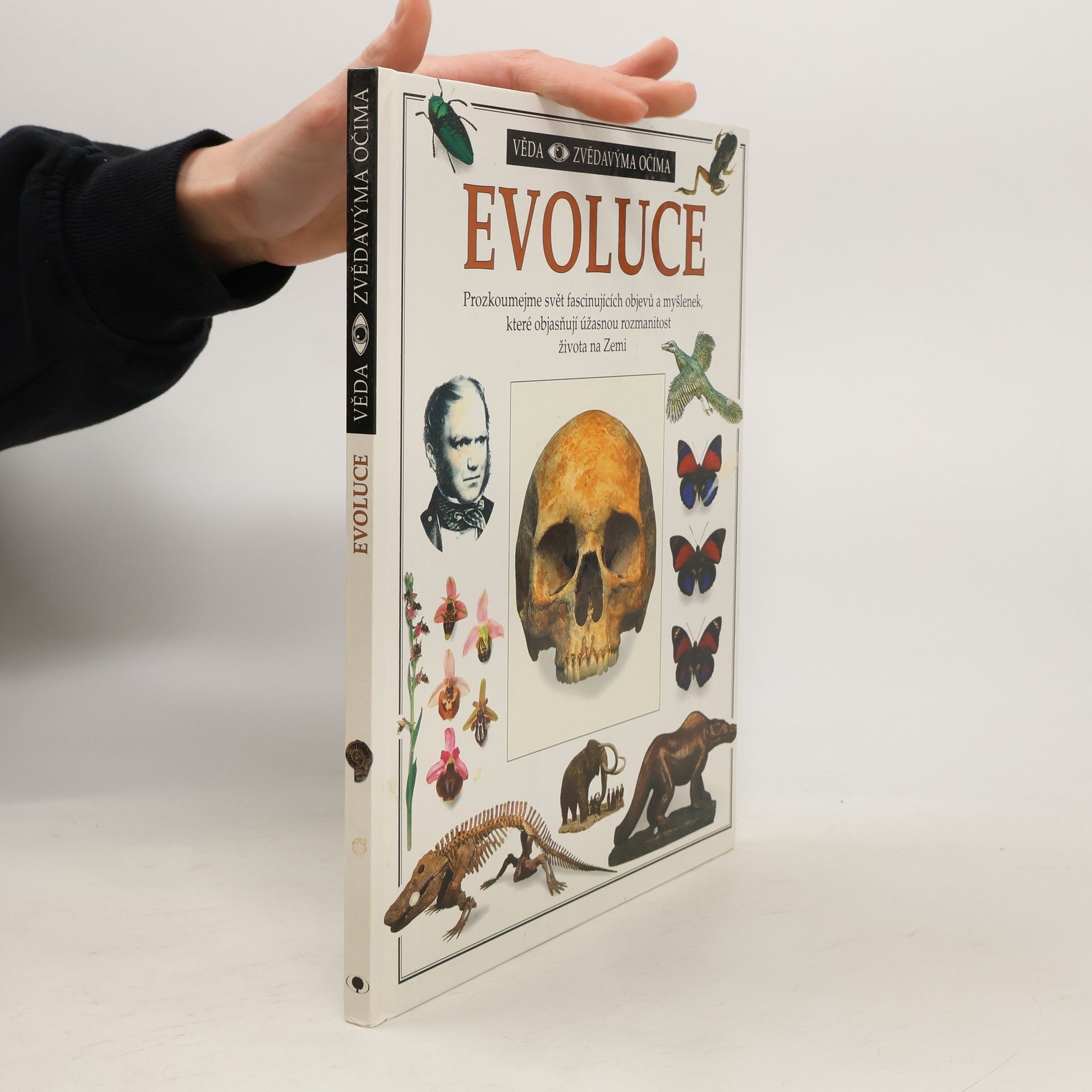 Linda Gamlin Evoluce