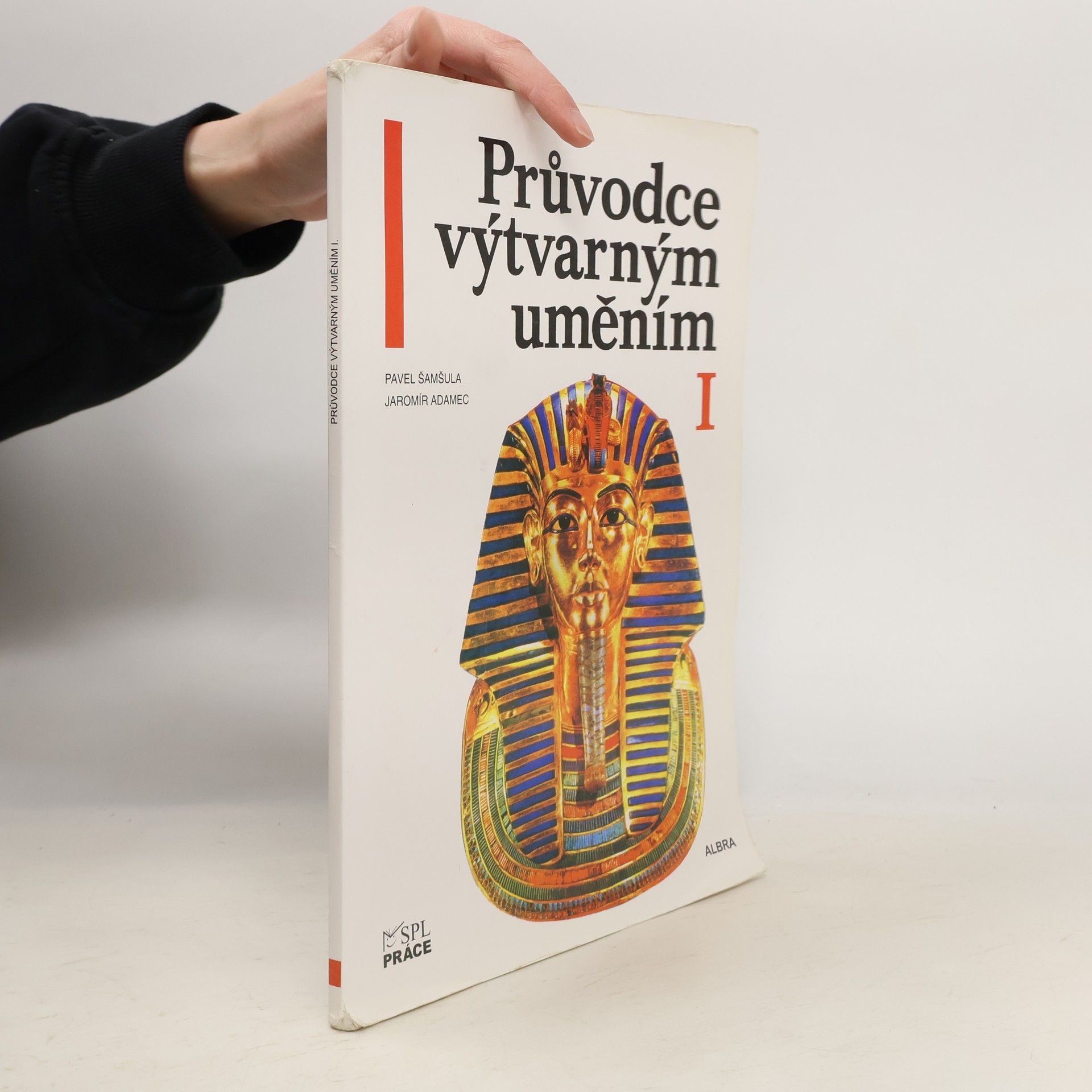 Pavel Šamšula Průvodce výtvarným uměním (1. díl)