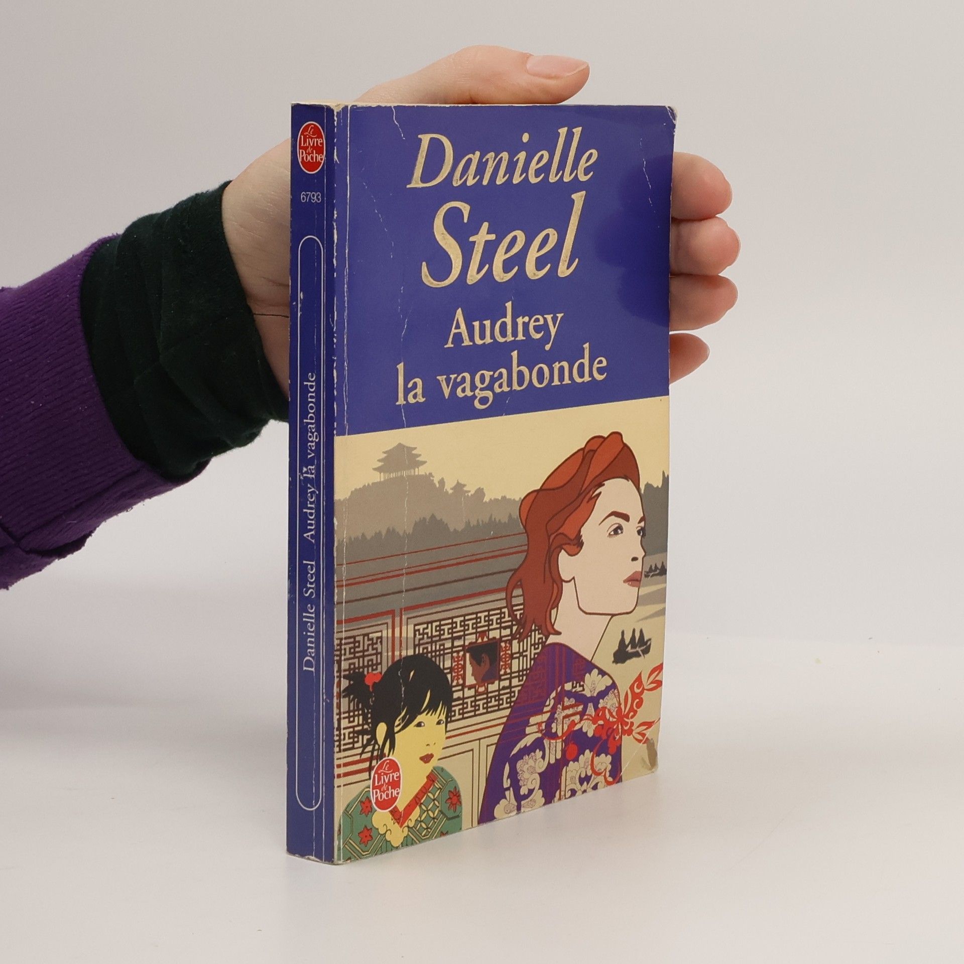 Danielle Steel Audrey, la vagabonde