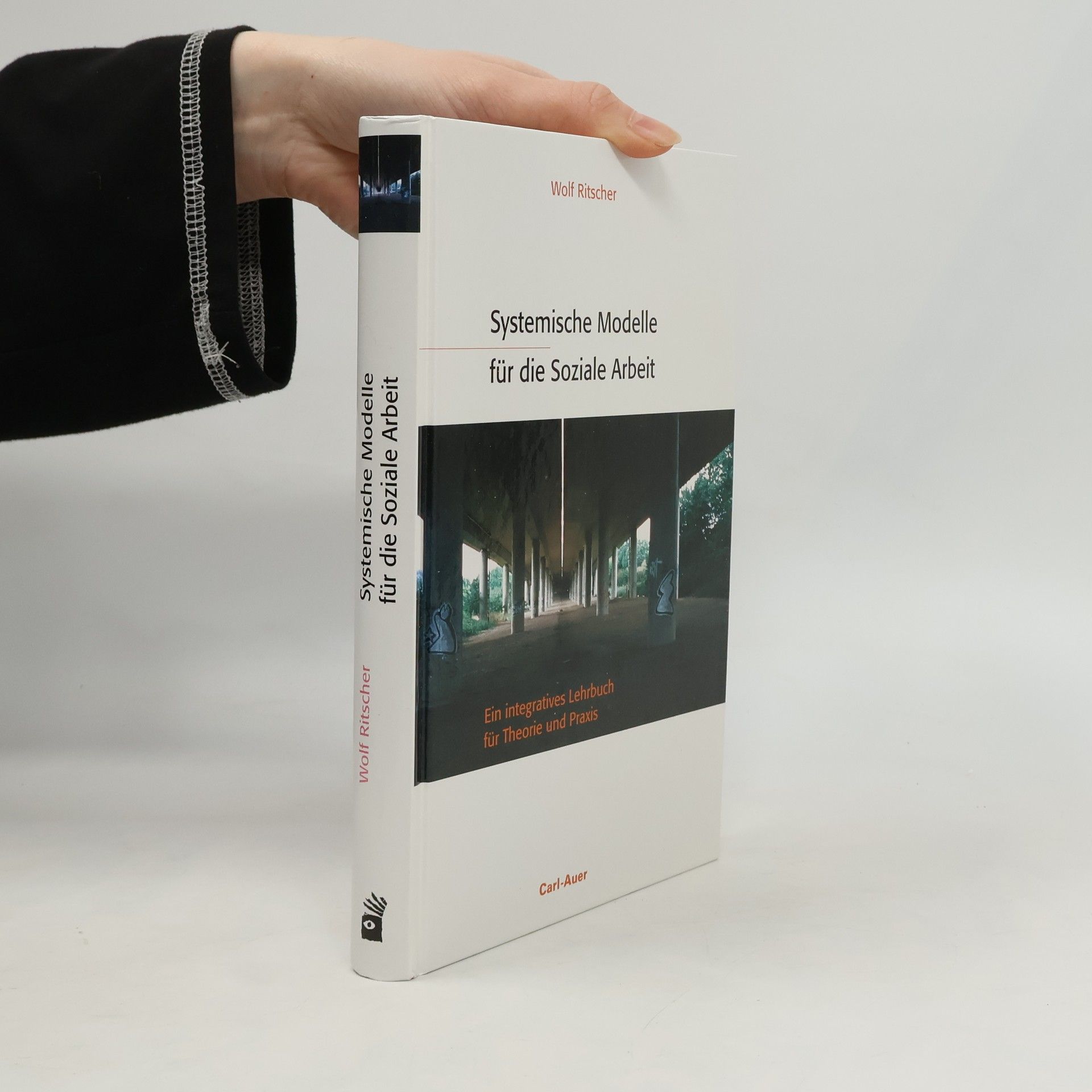 Wolf Ritscher Systemische Modelle für die Soziale Arbeit