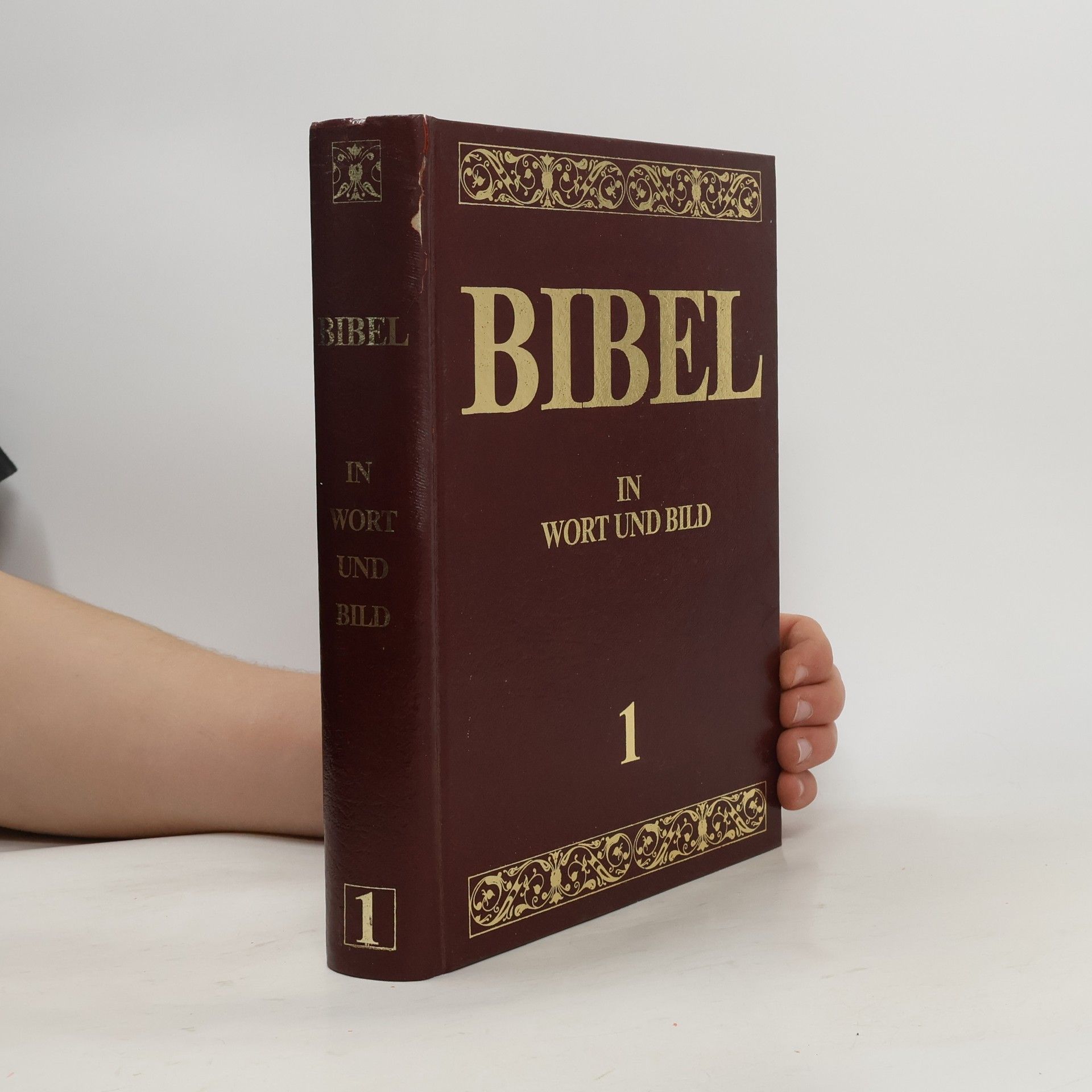 Kolektív autorov Bibel in Wort und Bild 1