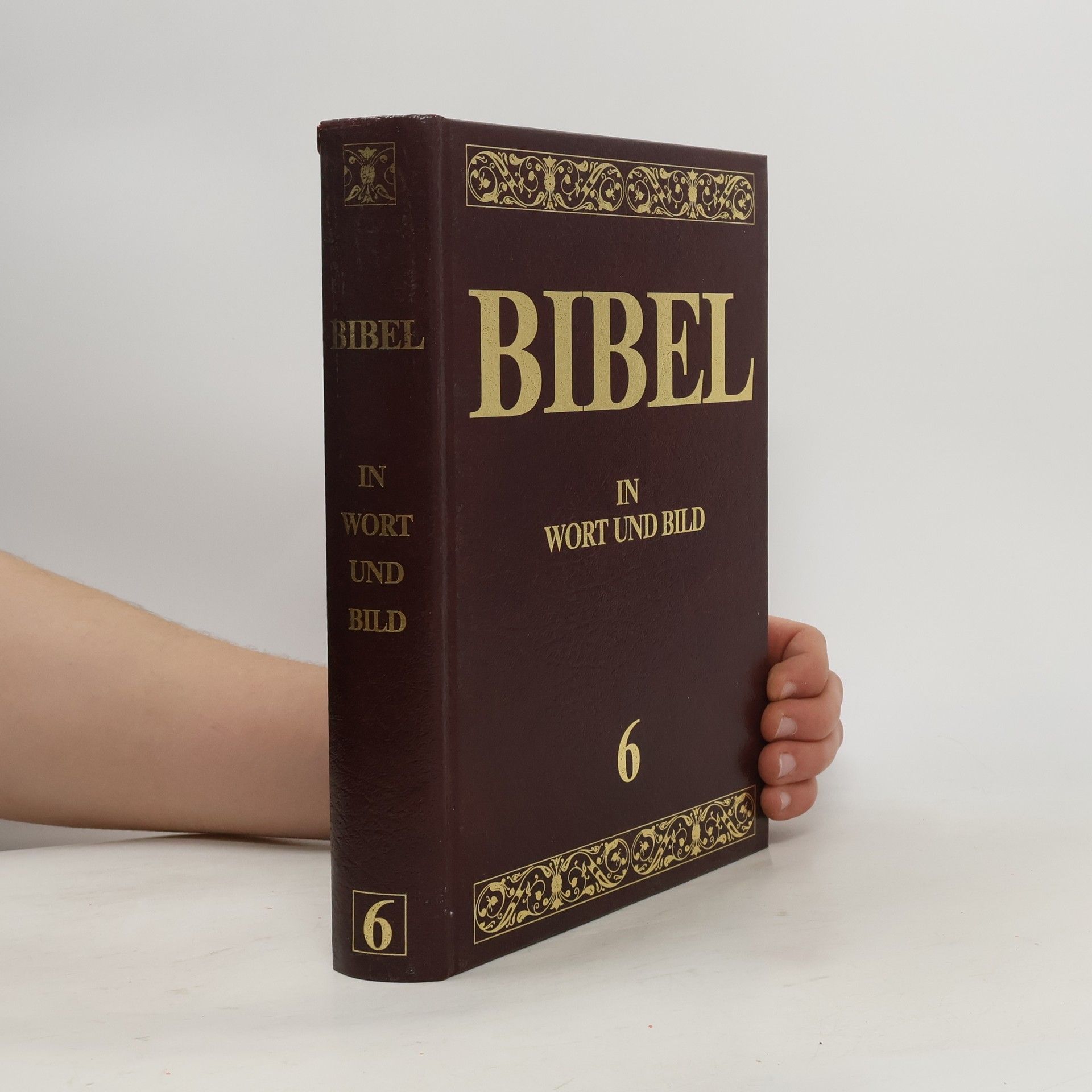 Kolektív autorov Bibel in Wort und Bild 6