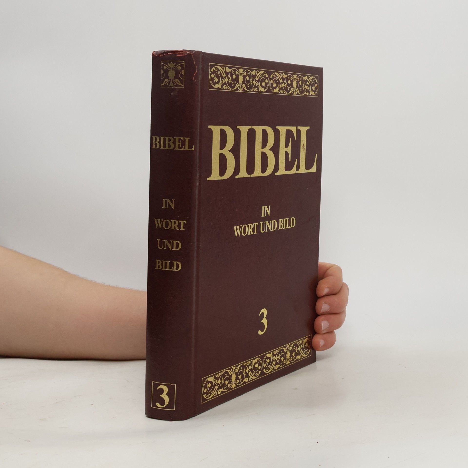 Kolektív autorov Bibel. In Wort und Bild 3