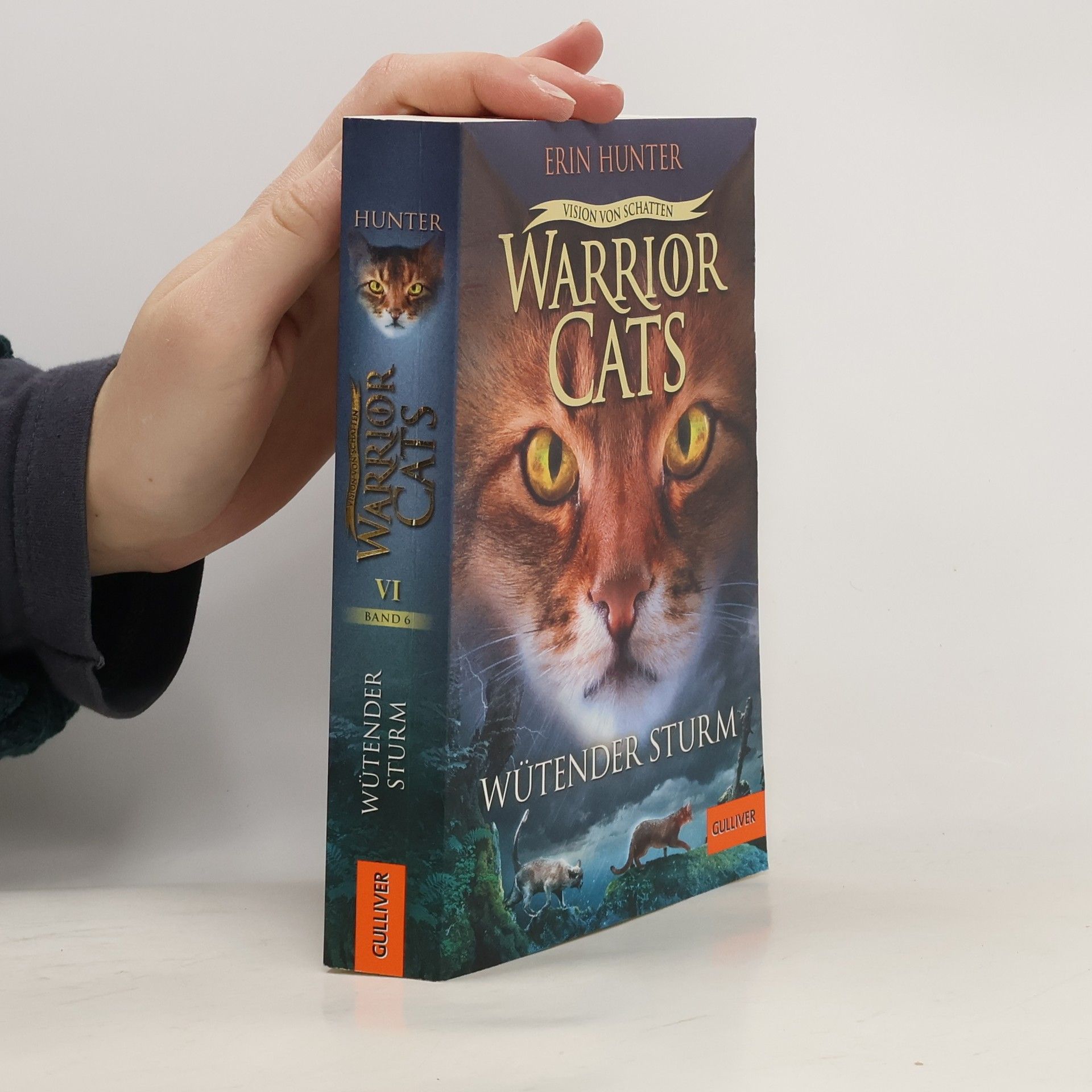 Erin Hunter Warrior Cats - Vision von Schatten. Wütender Sturm