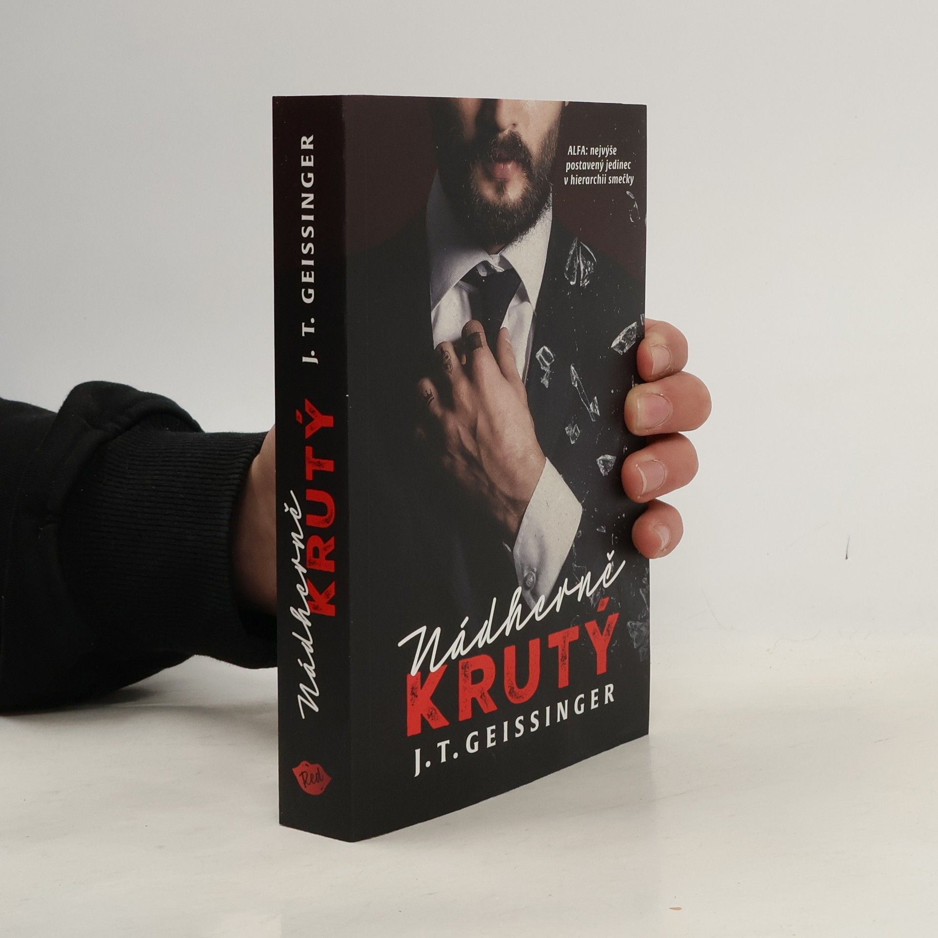 J. T. Geissinger Nádherně krutý