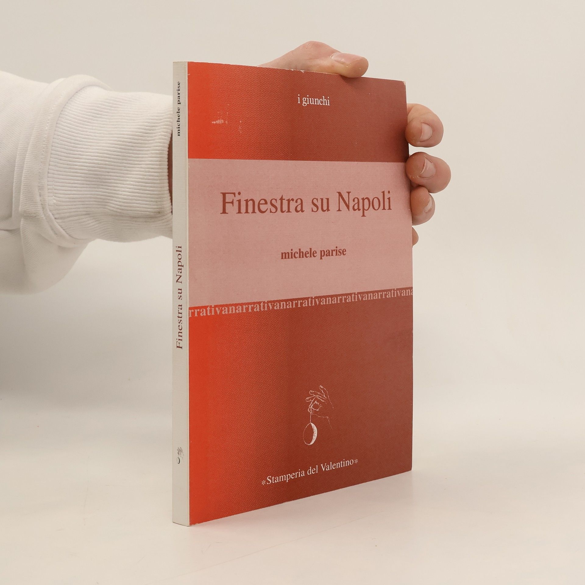 Michele Parise I giunchi: Finestra su Napoli