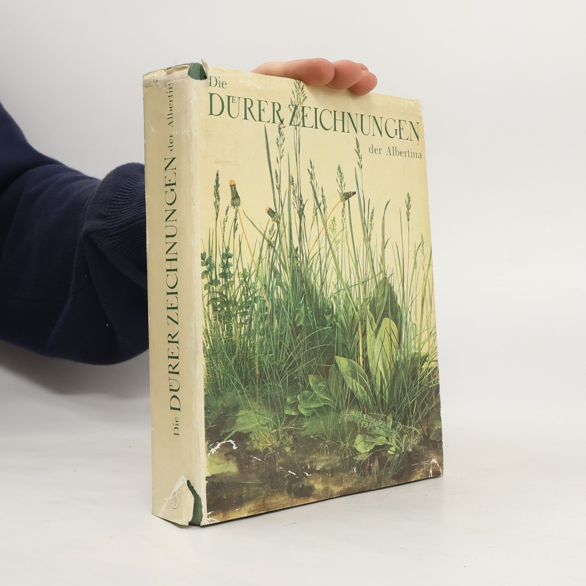 Die Dürer Zeichnungen der Albertina