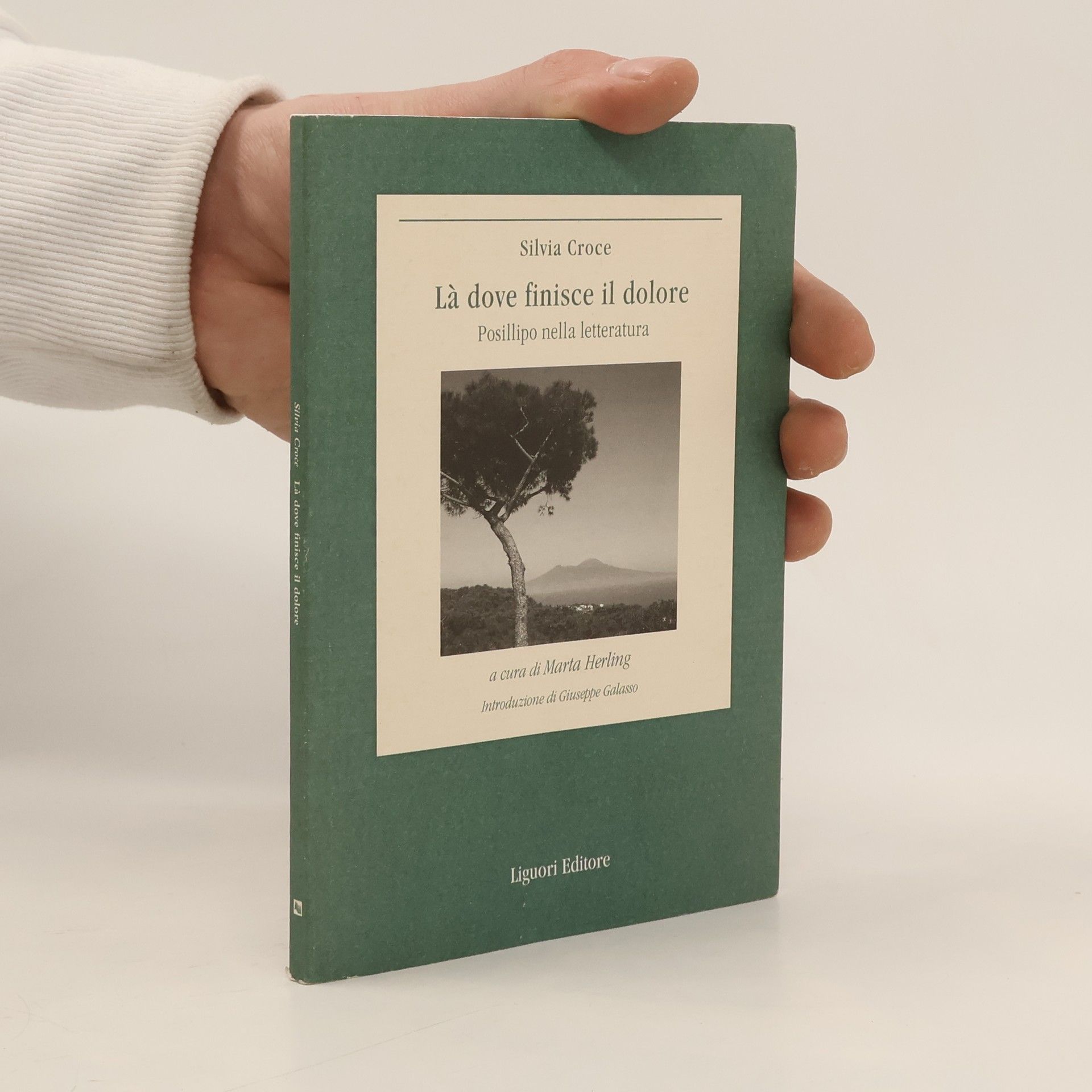Silvia Croce Là dove finisce il dolore. Posillipo nella letteratura
