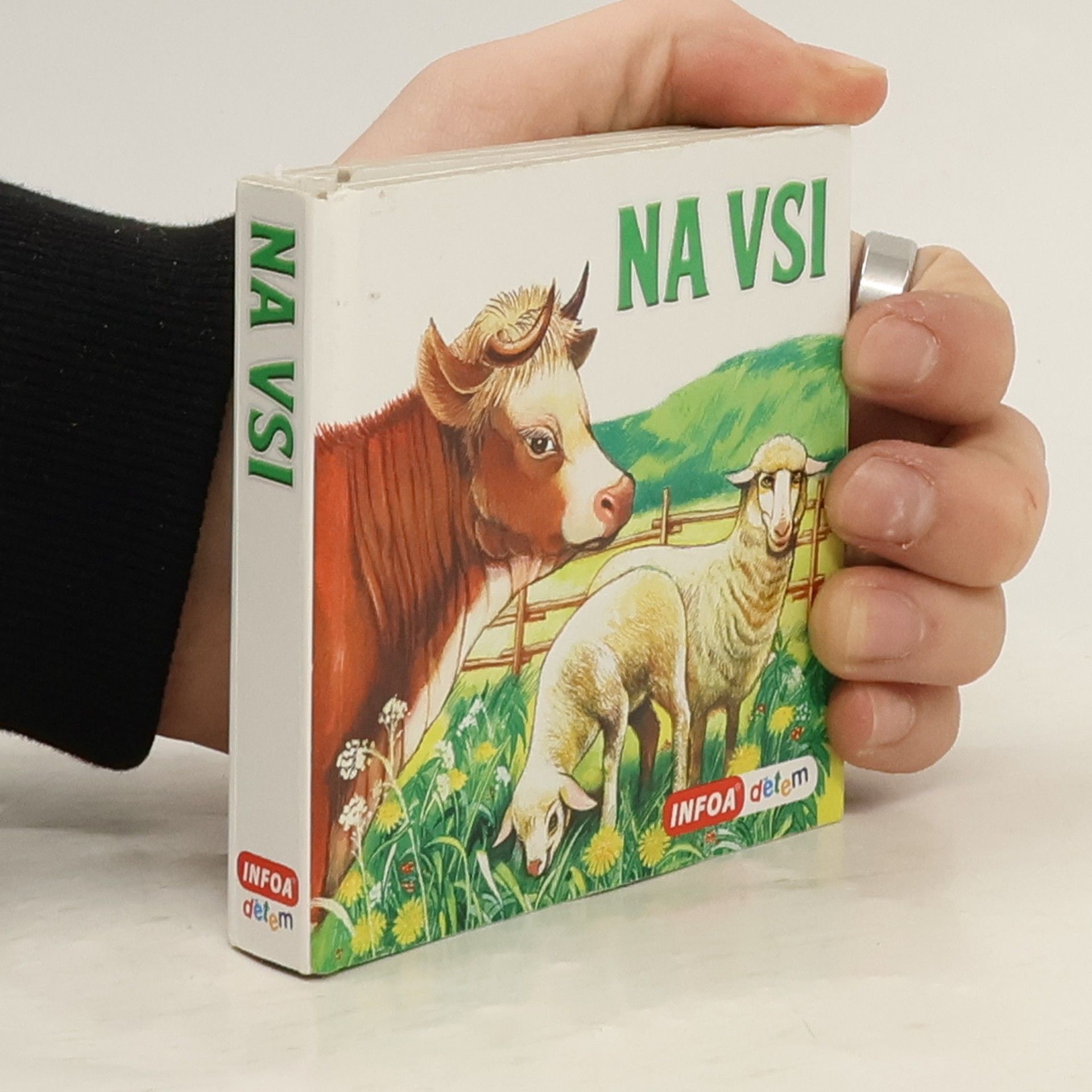 Autorenkollektiv Na vsi