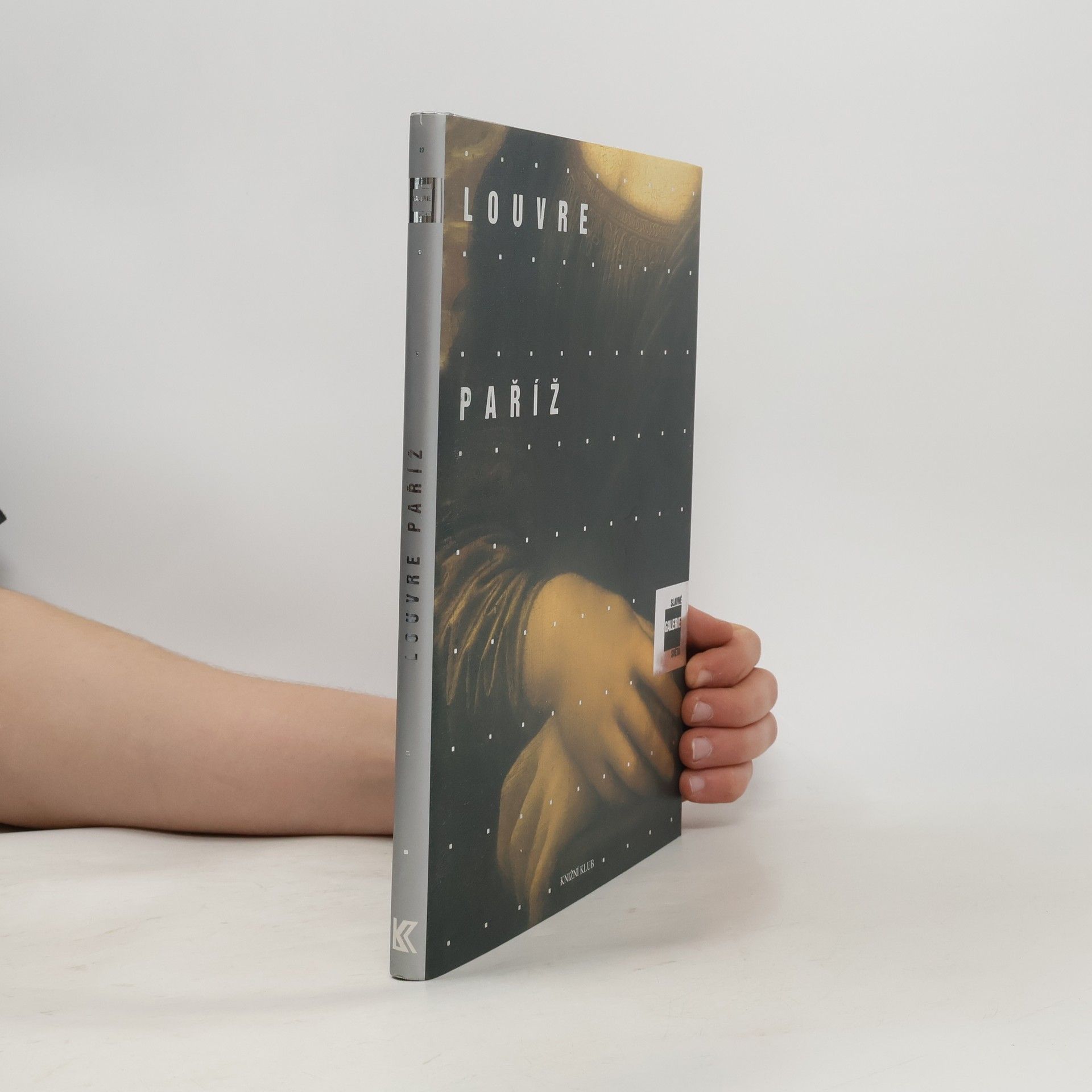 Alessandra Fregolent Slavné galerie světa. Louvre - Paříž