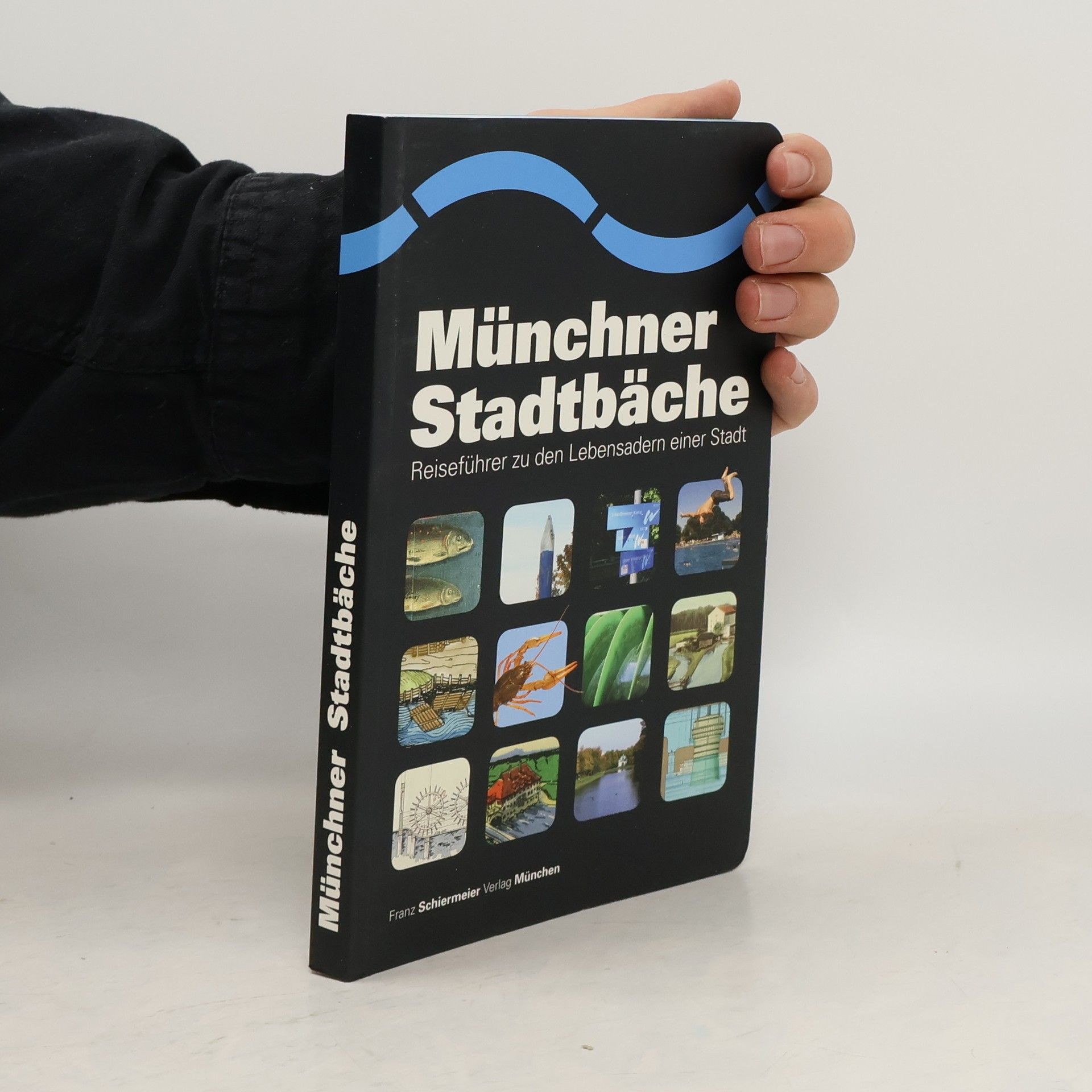 Kolektív autorov Münchner Stadtbäche